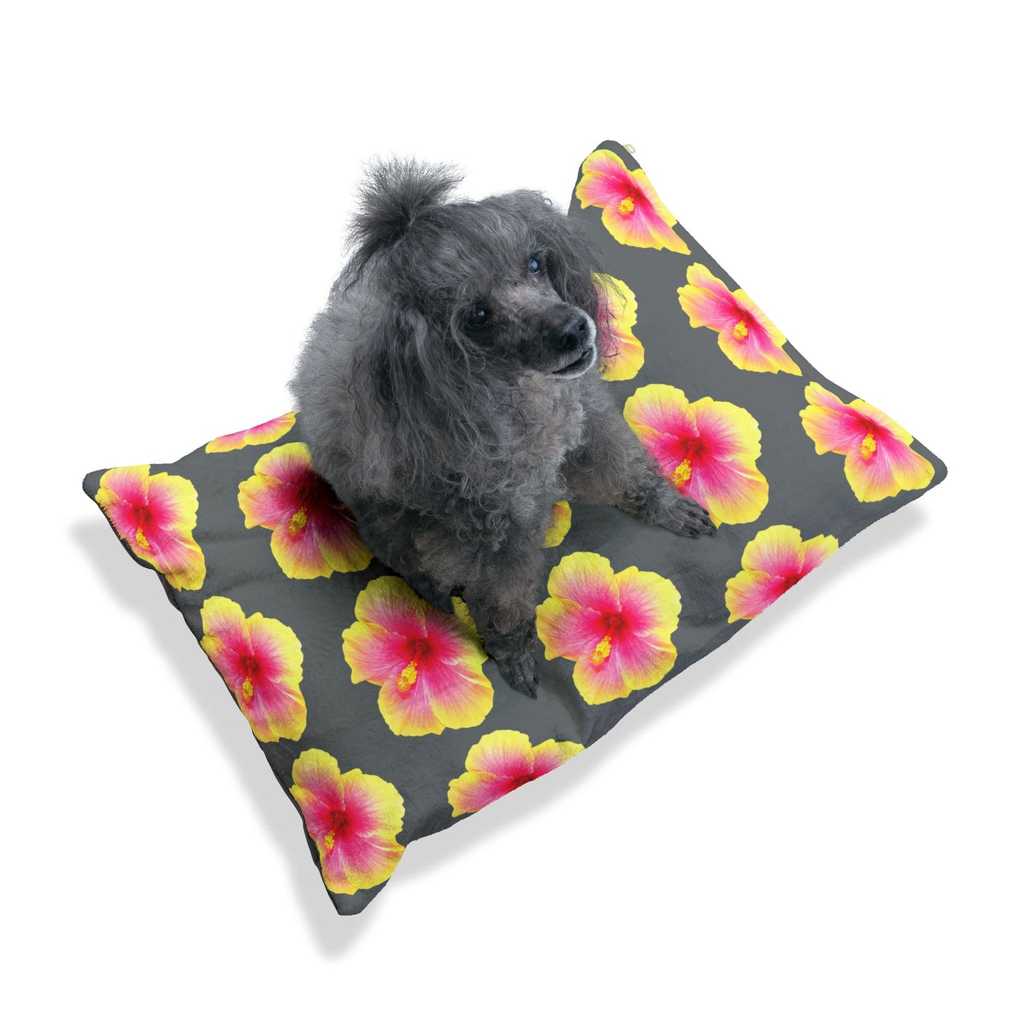 Pet Bed - Cozy and Fun Dog or Cat Bed for Beach Lovers / Real Yellow & Pink Hibiscus/Dark Grey