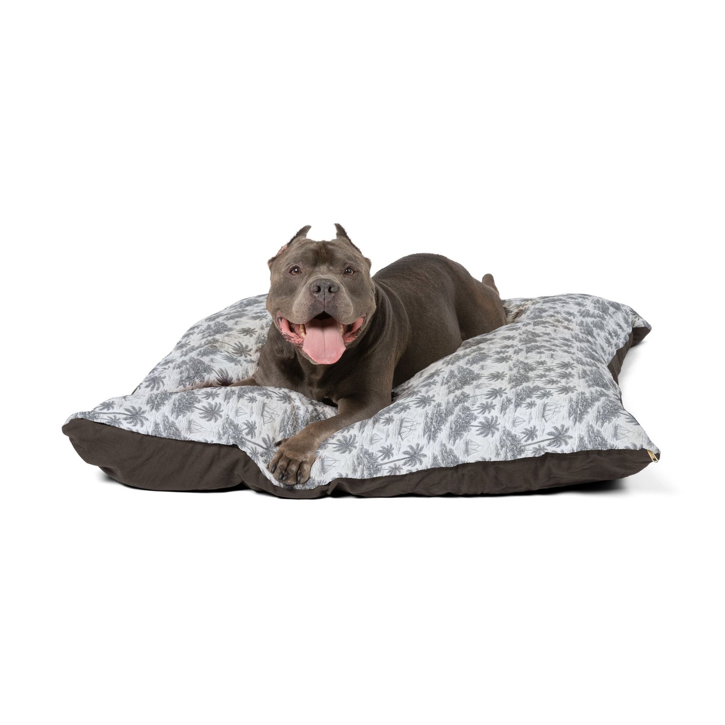 Pet Bed - Cozy and Fun Dog or Cat Bed for Beach Lovers / Faraway Toile, Noir