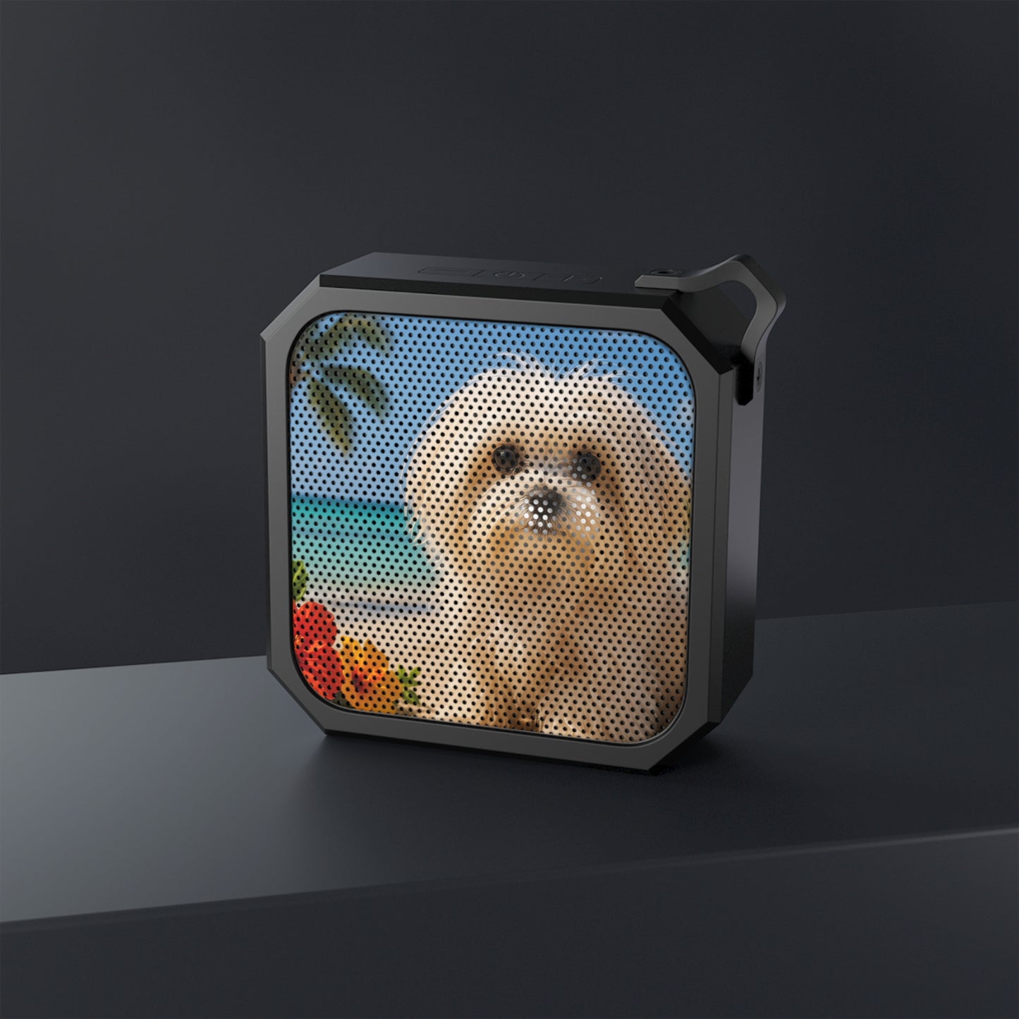 Blackwater Outdoor Bluetooth Speaker, Puppy Ariel on the Beach