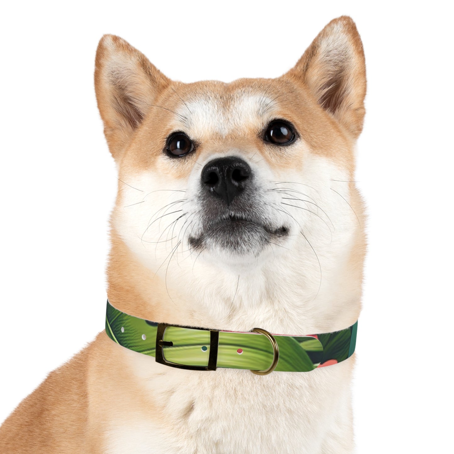 Dog Collar - Exotic Flora