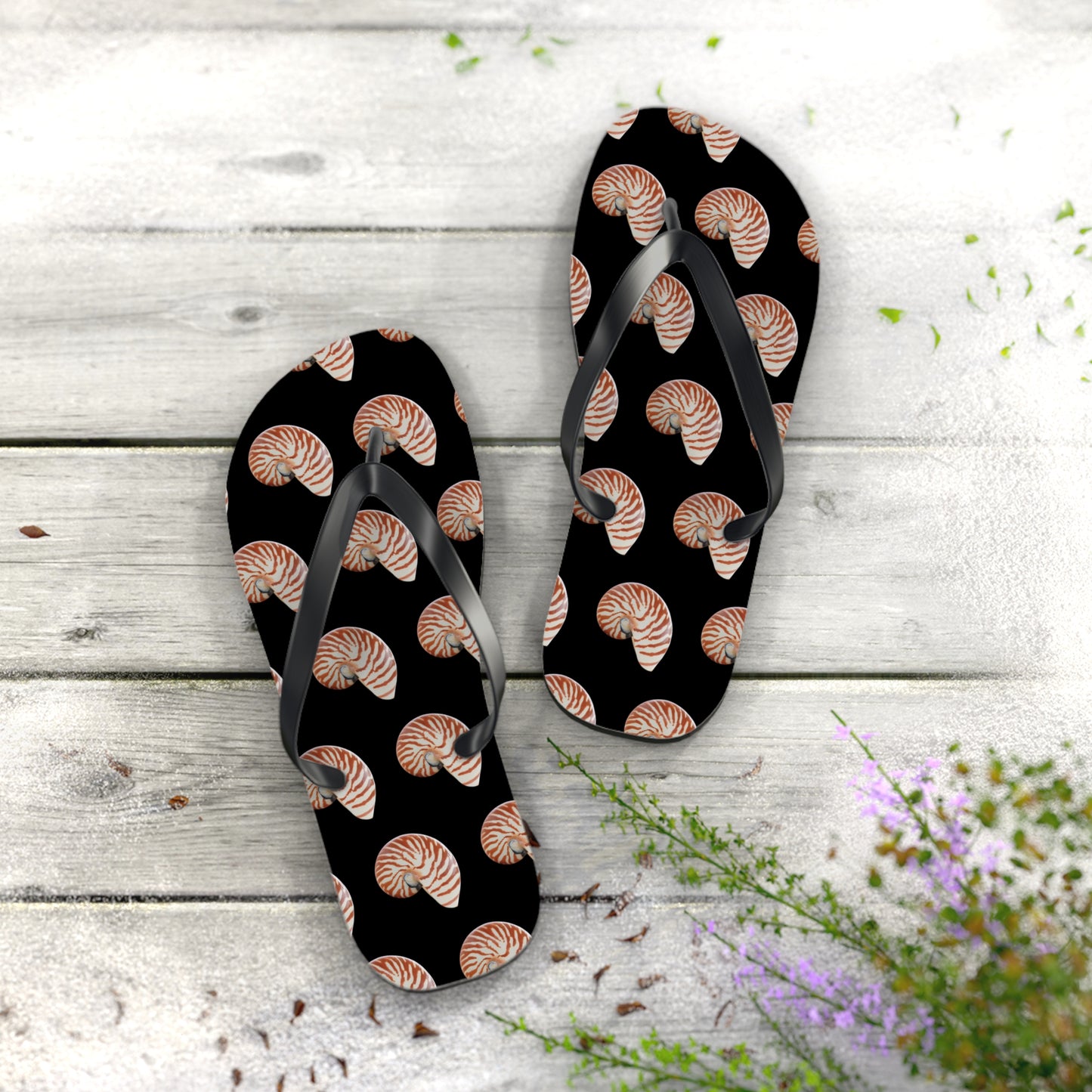 Flip Flops - Tiger Stripe Nautilus Shell, black
