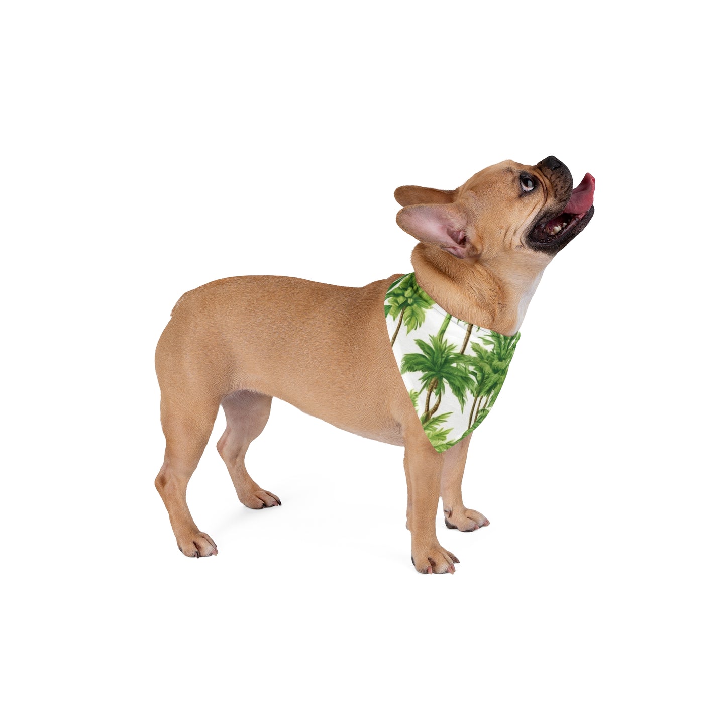 Fantasy Green Palms Tropical Pet Bandana, 2 Sizes - Stylish accessory for dogs & cats