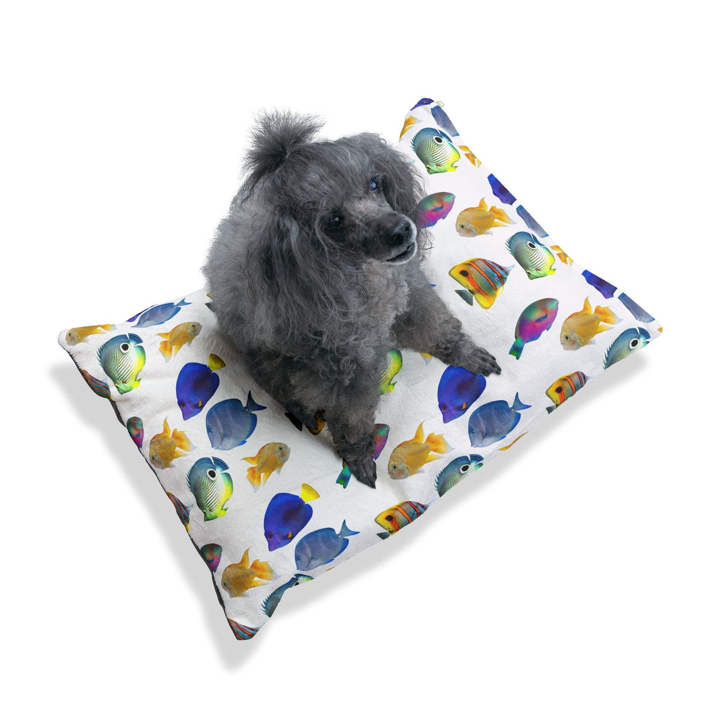 Pet Bed - Cozy and Fun Dog or Cat Bed for Beach Lovers / School of Fish