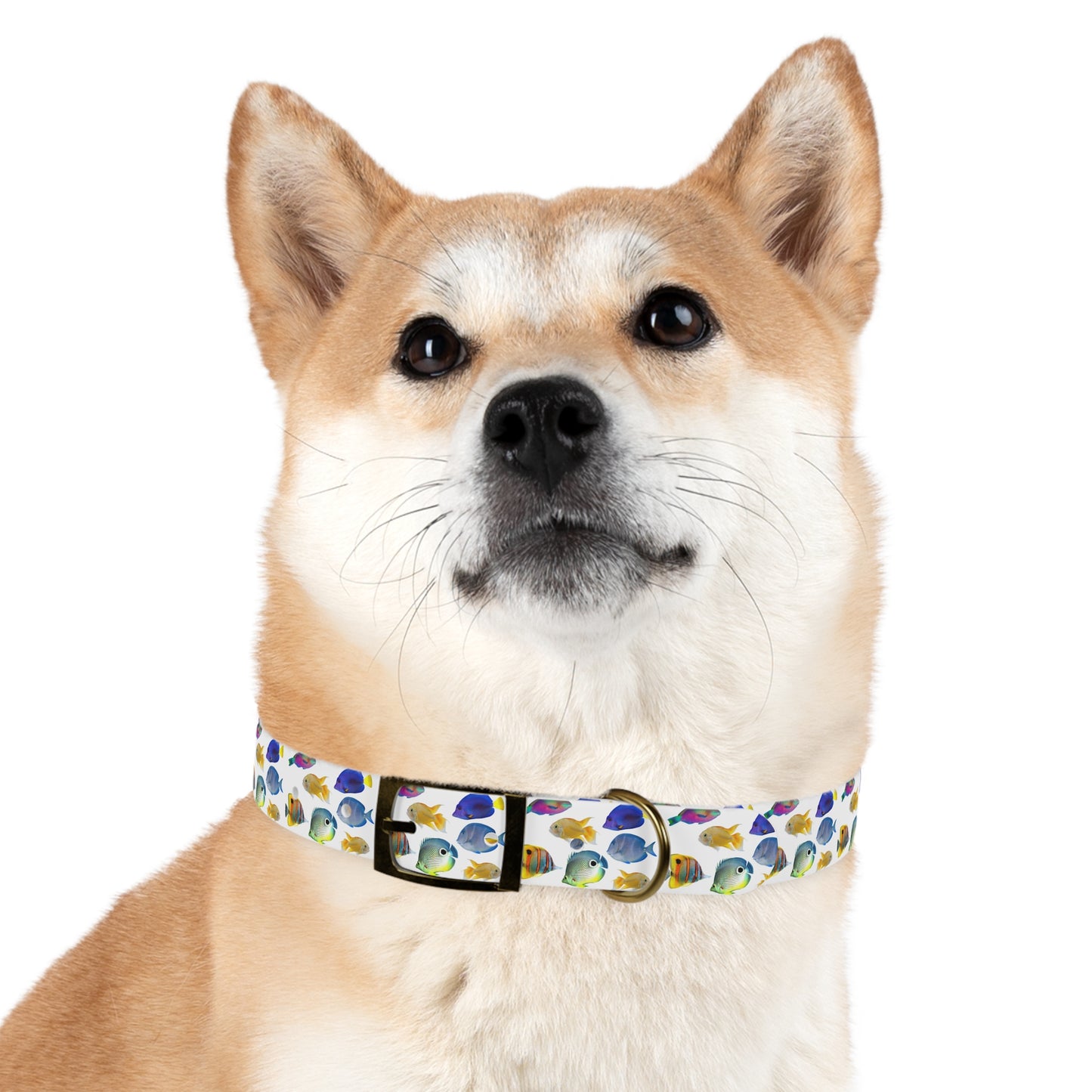 Tropical Dog Collar - Fun and Playful Pet Accessory / School of Fish