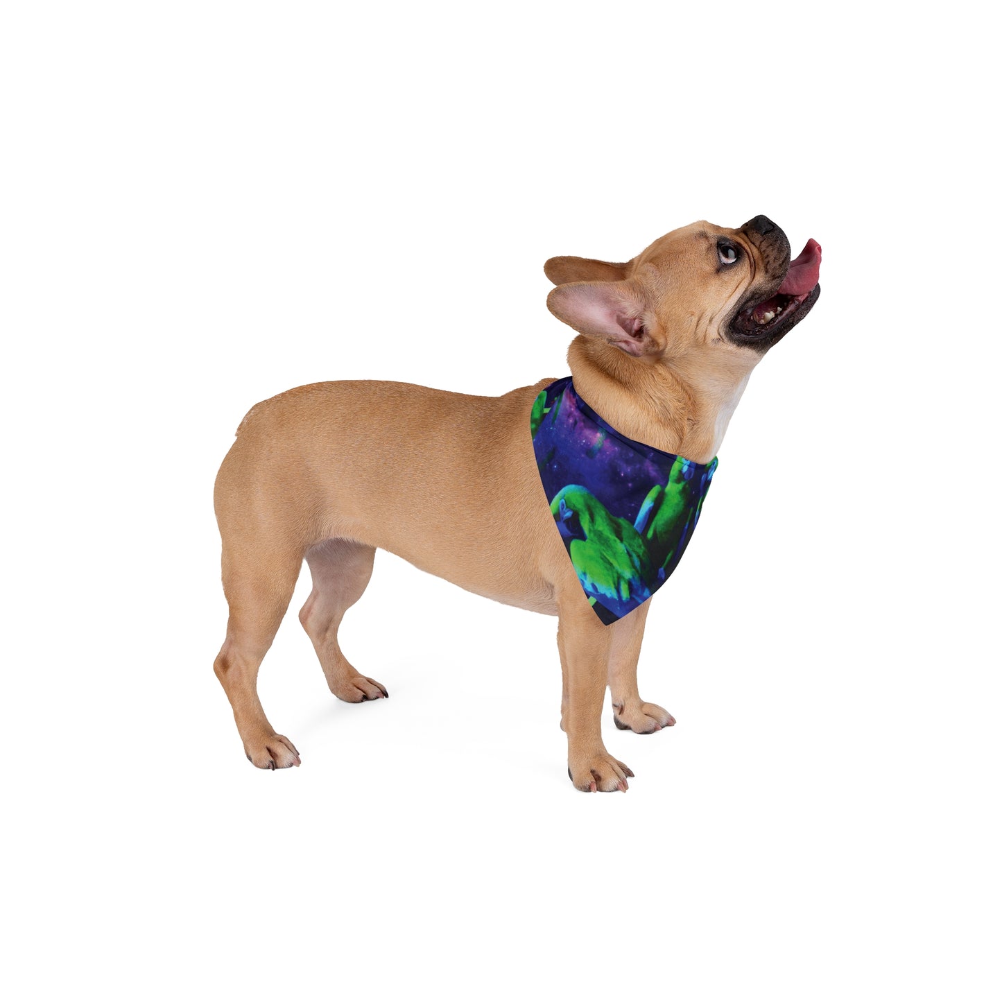 Galactic Parrot Pet Bandana, 2 Sizes - Stylish accessory for dogs & cats