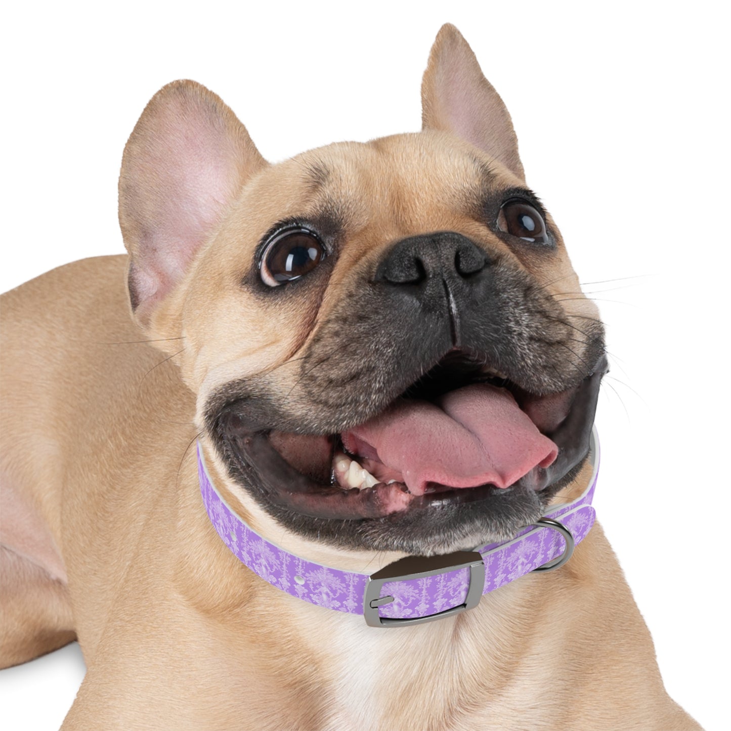 Dog Collar - Pearl Lady Toile, purple