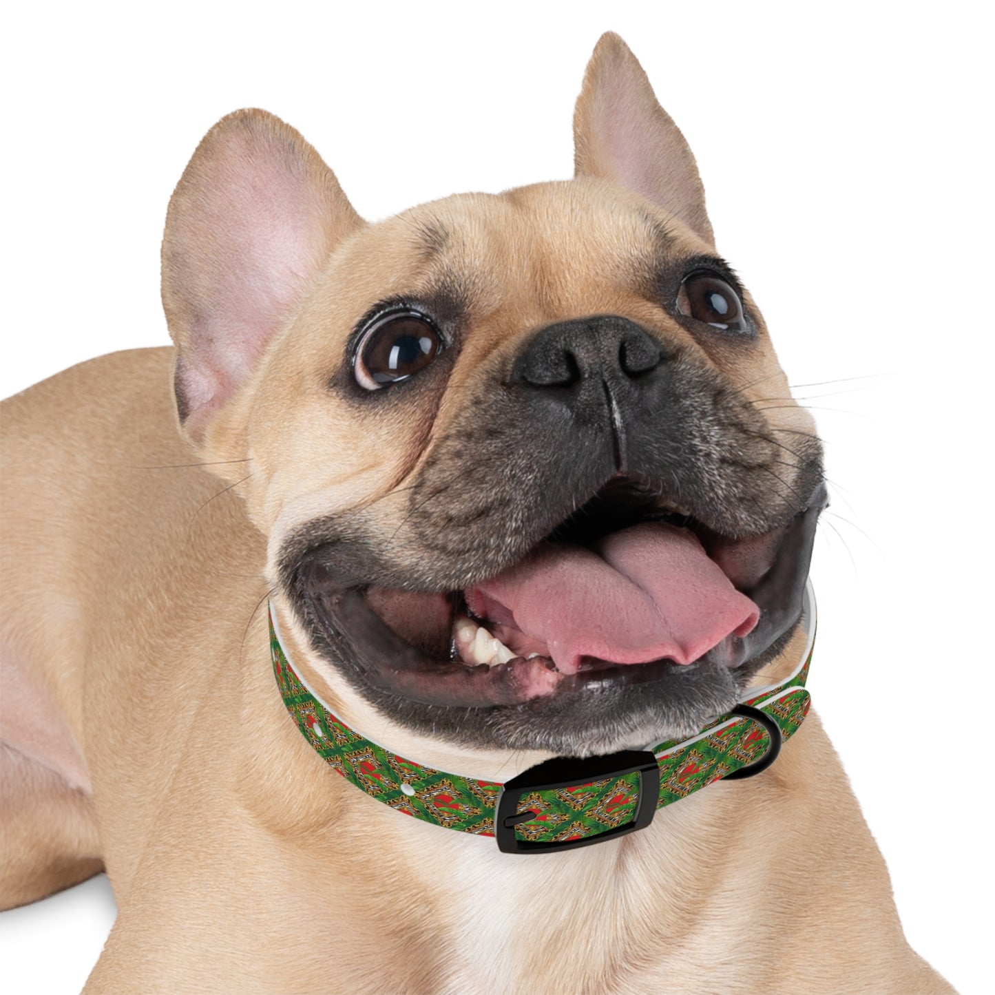 Dog Collar - Rainforest Pinks