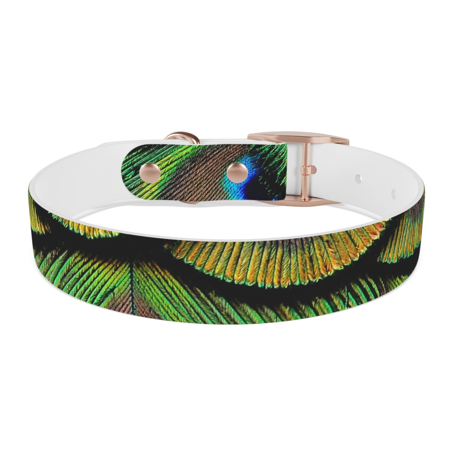 Dog Collar - Brilliant Green Peacock Feathers