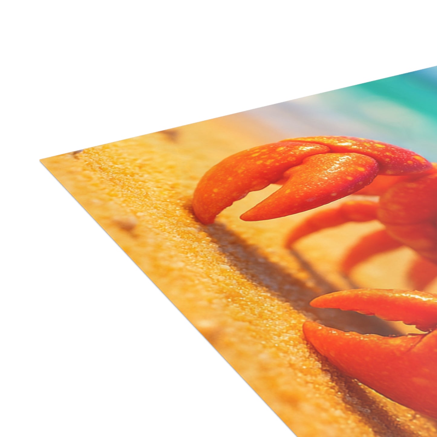 Baby Hermit Crab Postcard Bundle - Perfect for Ocean Lovers & Greetings!