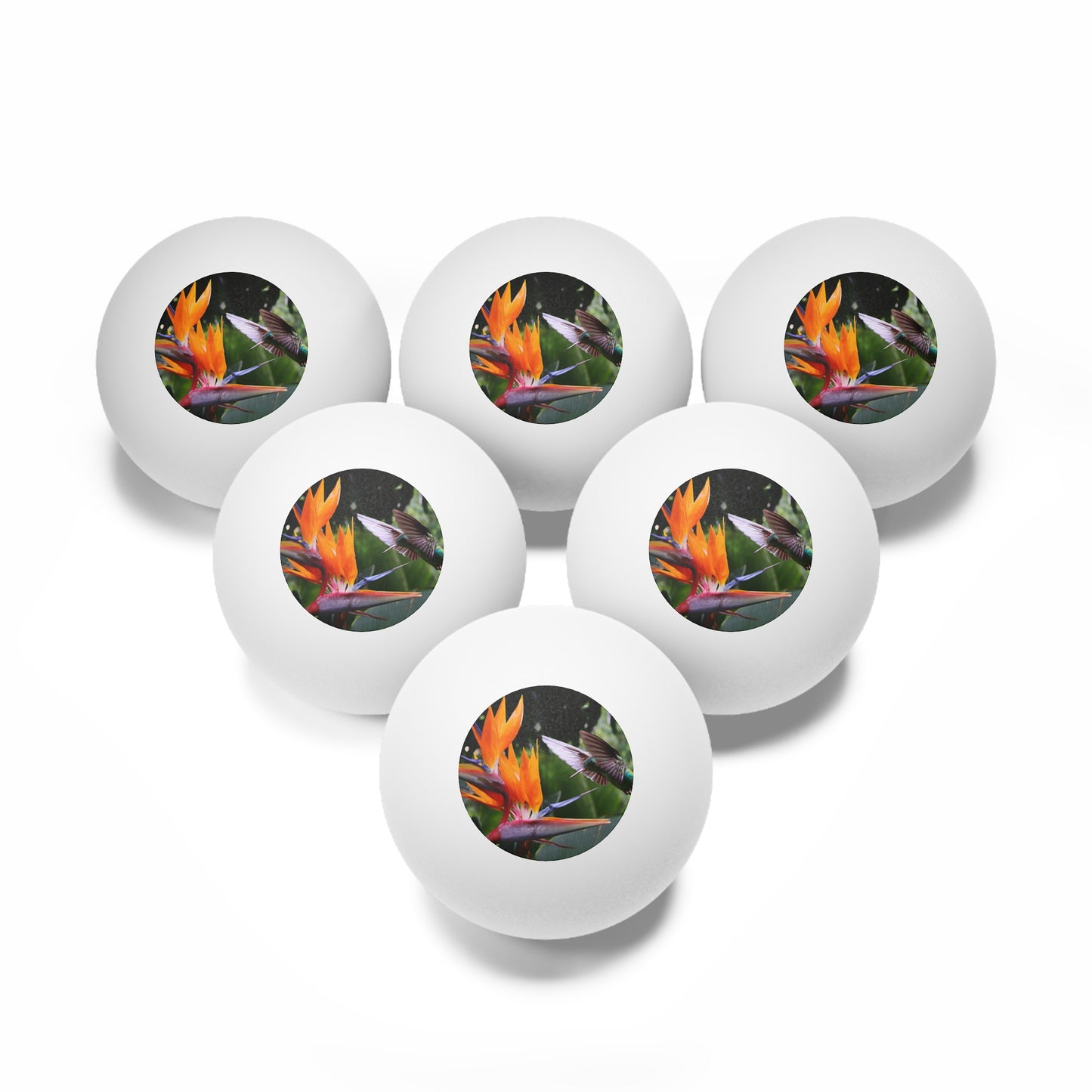 Tropical Paradise Ping Pong Balls - 6 Pack with Bird of Paradise