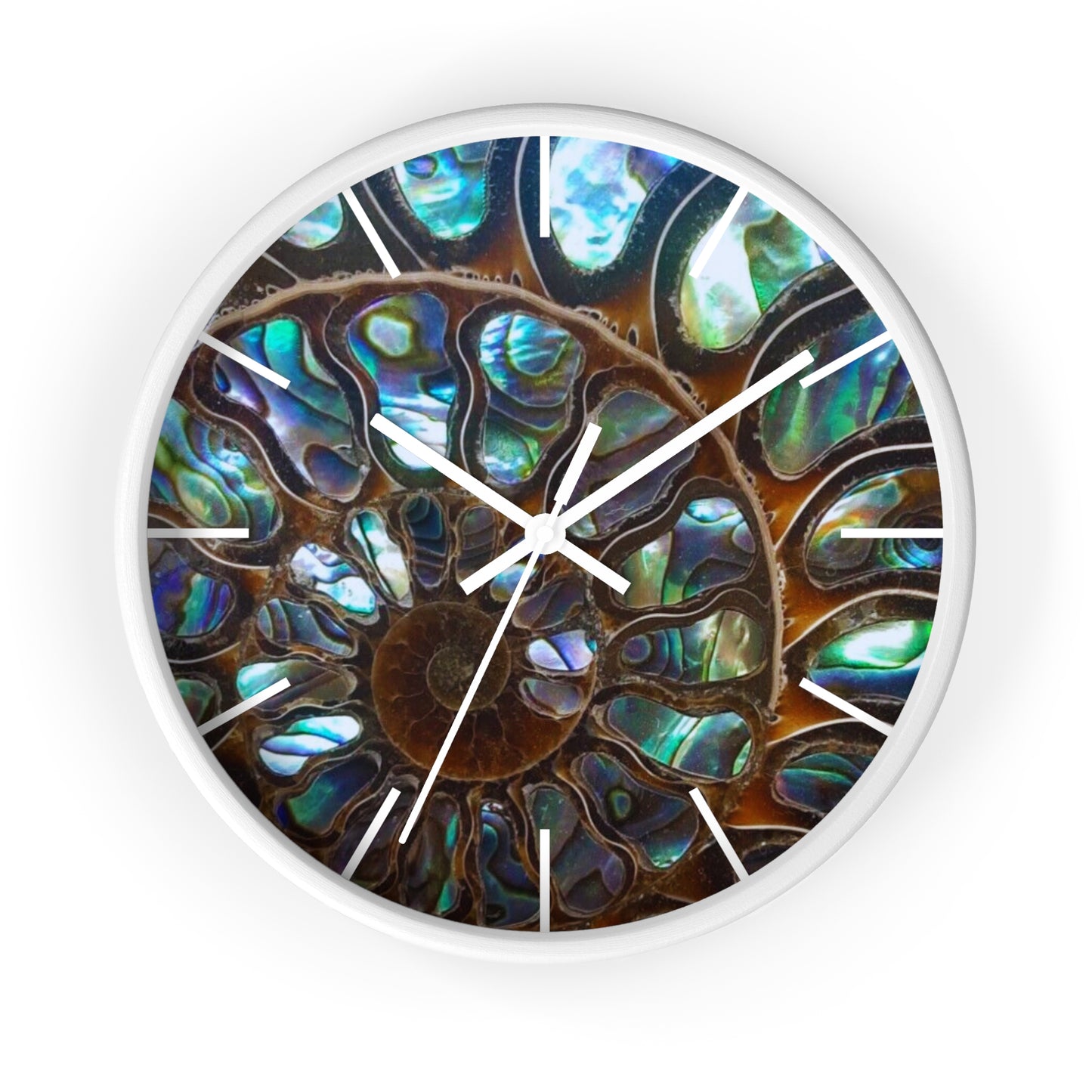 Wall Clock, Ammonite & Ablaone, Hands/Base Variants