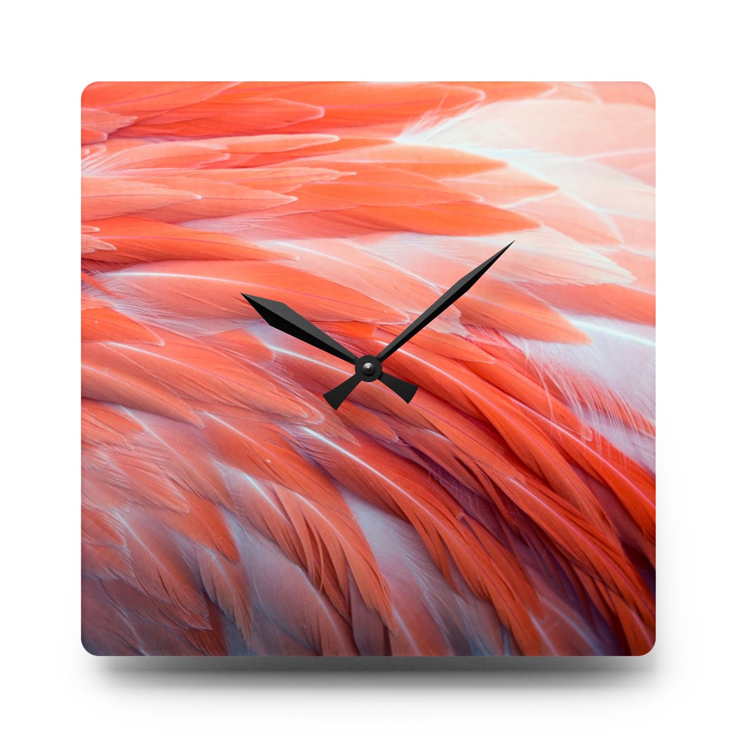 Acrylic Wall Clock, Real Flamingo Feathers