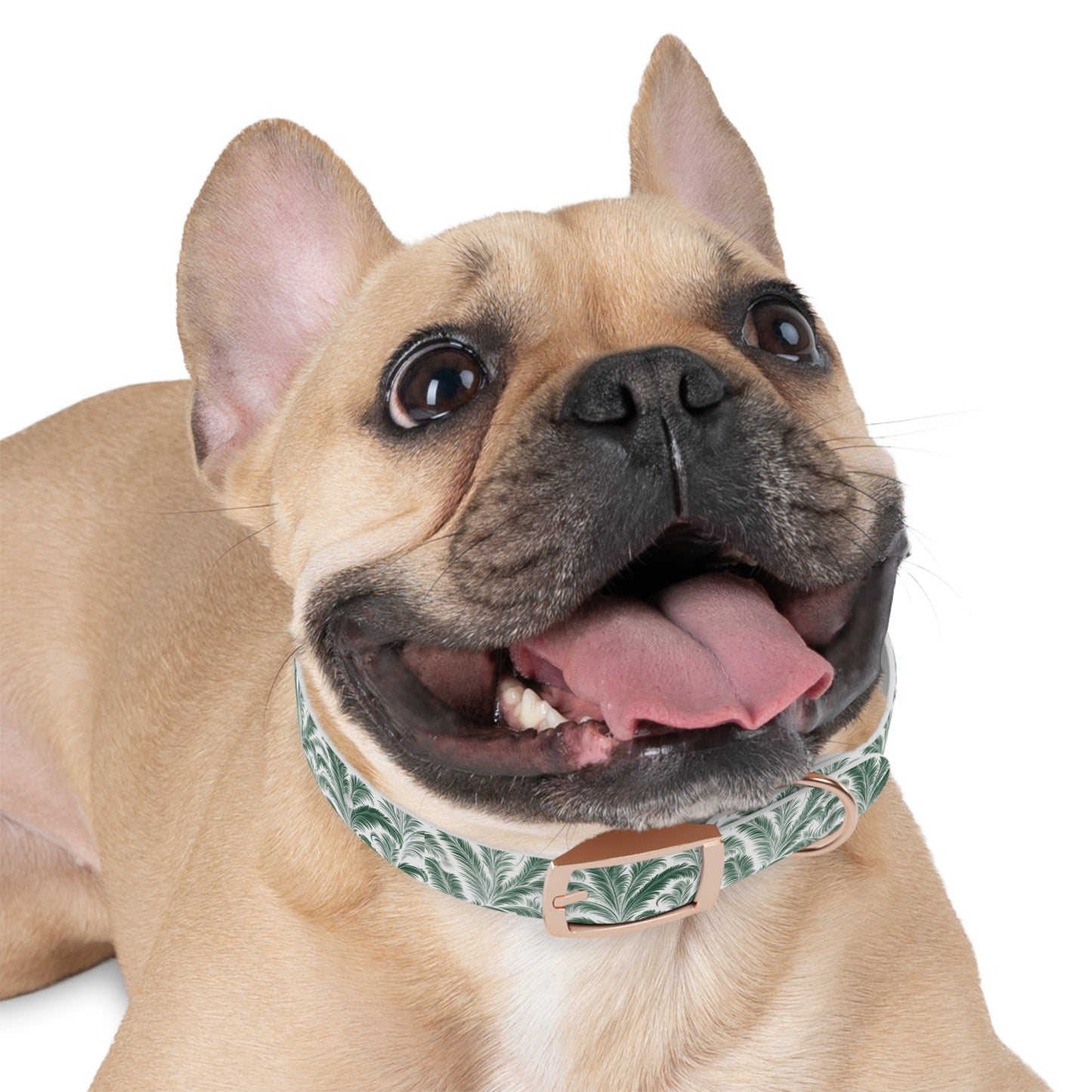 Tropical Dog Collar - Rocco Green