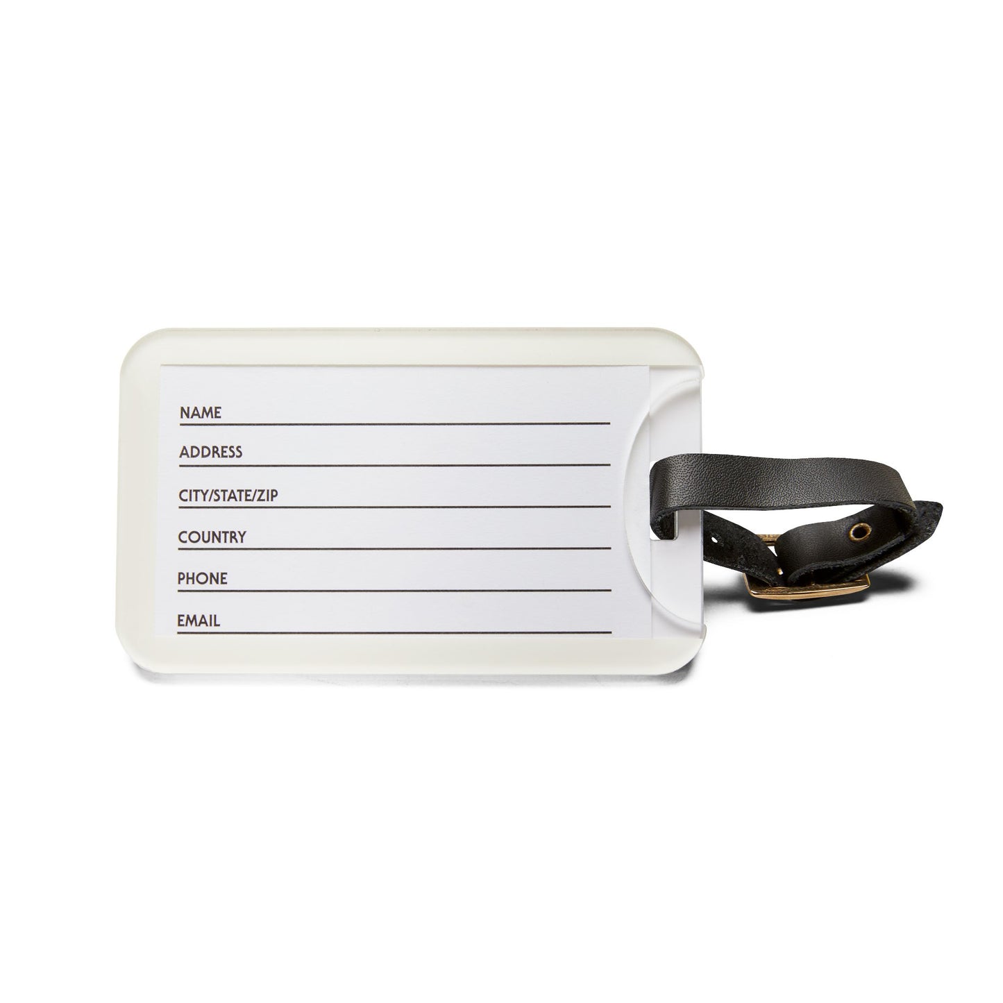 Luggage Tag - White Nautilus Trio