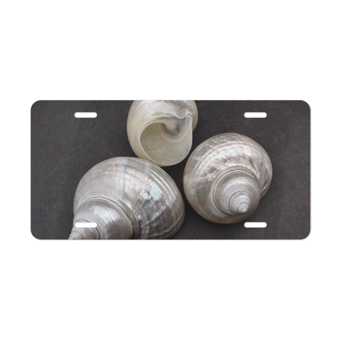 White Nautilus Trio Vanity Plate - Tropical Seashell Design for Cars, Trucks, and Decor