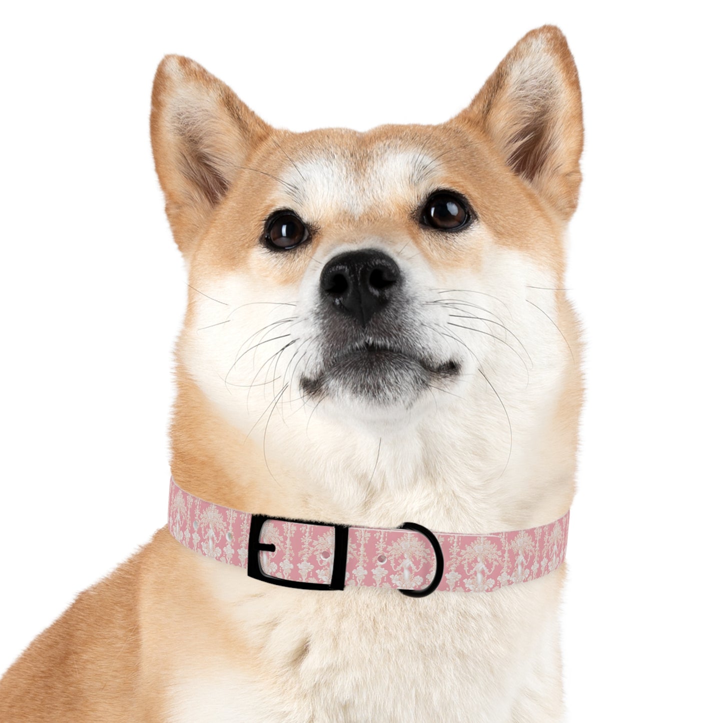 Dog Collar - Pearl Lady Toile, hibiscus pink