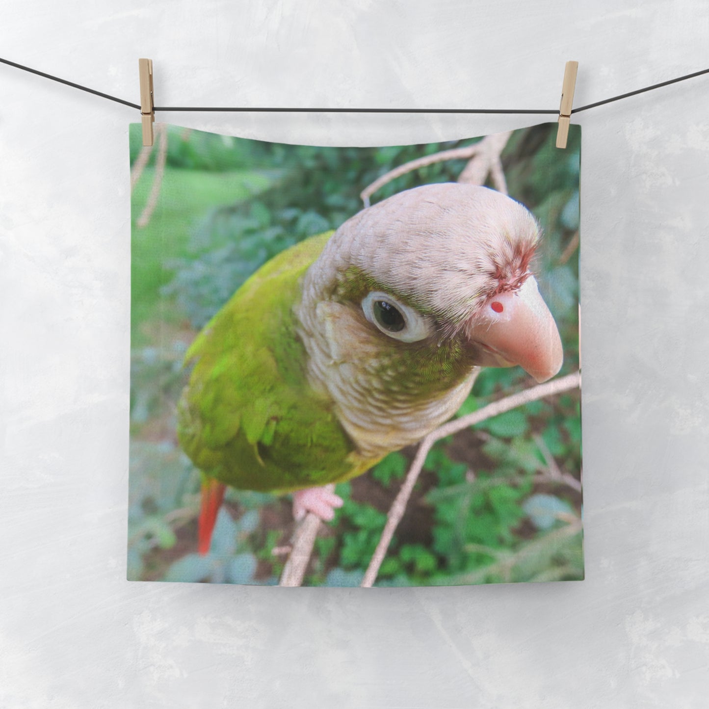 Face Towel - Watchful Parrot