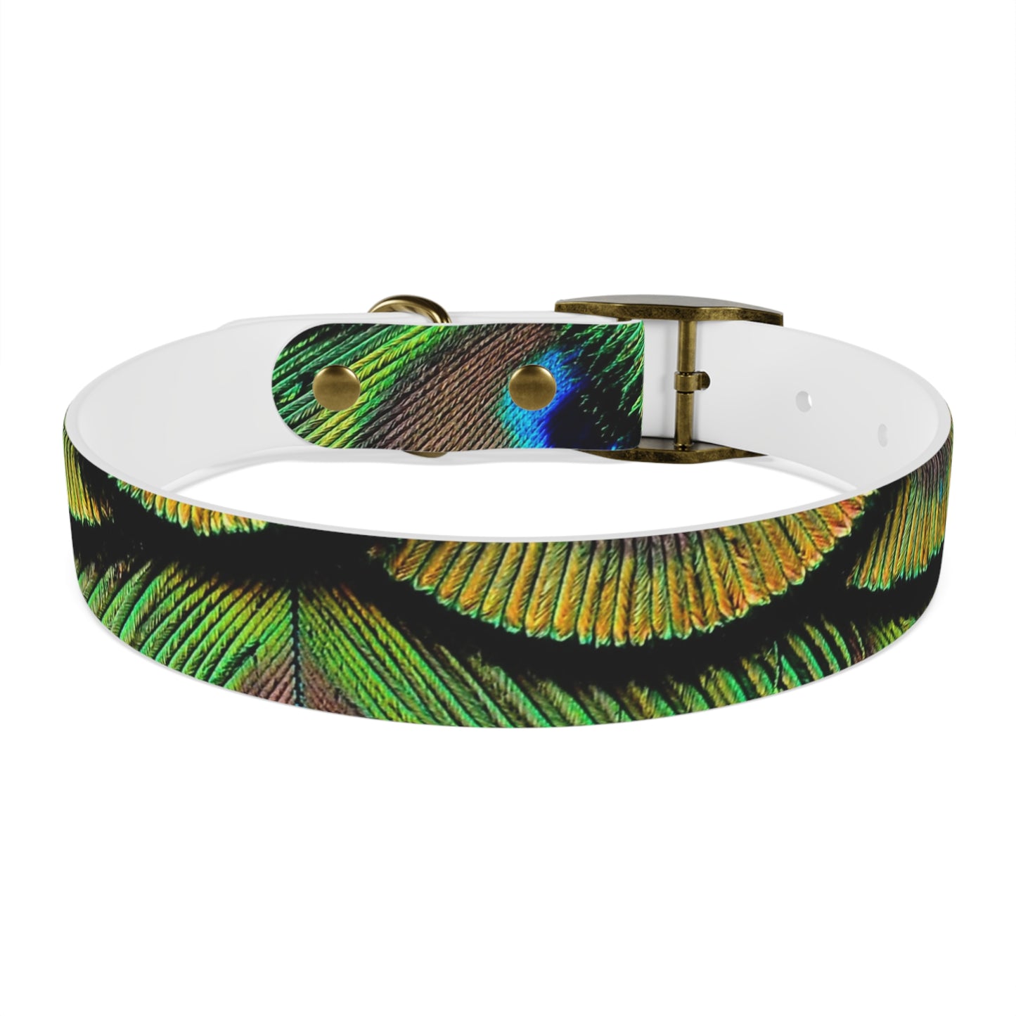 Dog Collar - Brilliant Green Peacock Feathers