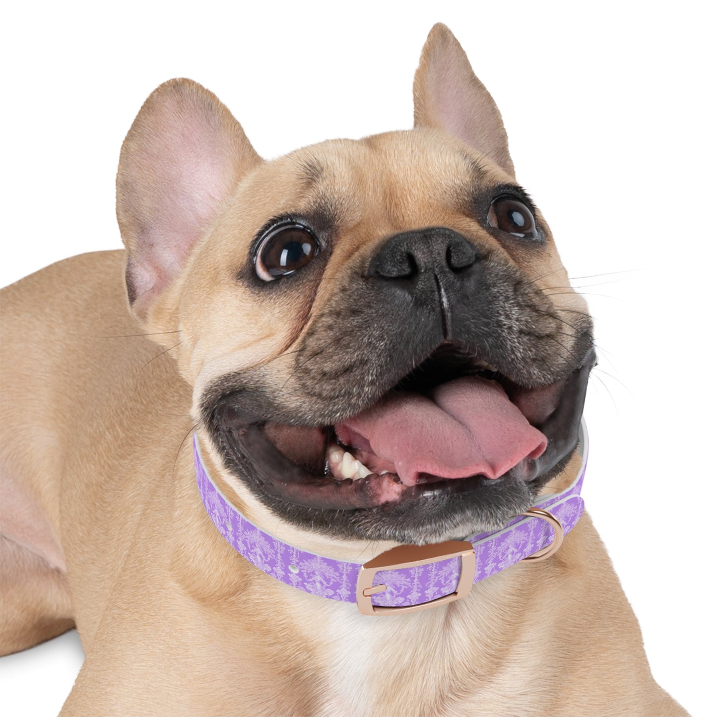 Dog Collar - Pearl Lady Toile, purple