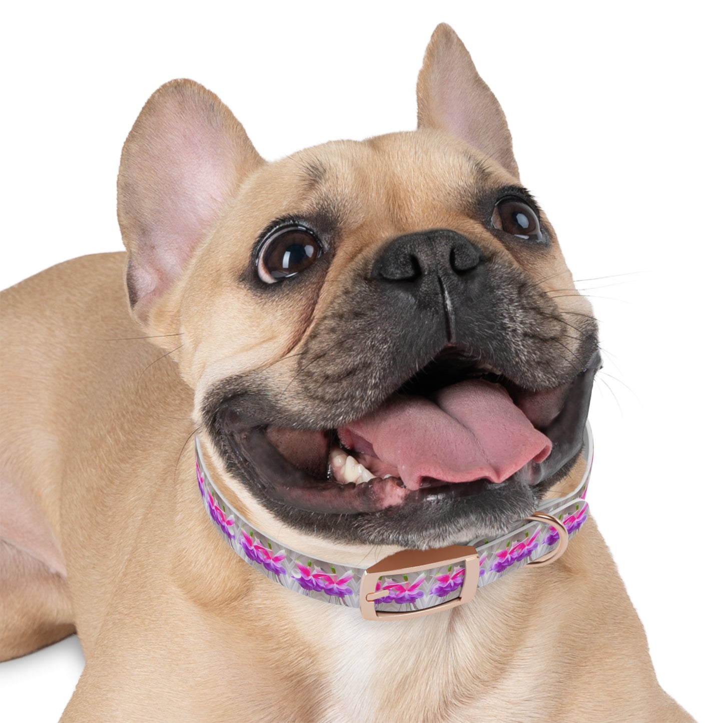 Dog Collar - Two Pink Fuchsias / Gothic, Kaleidoscope