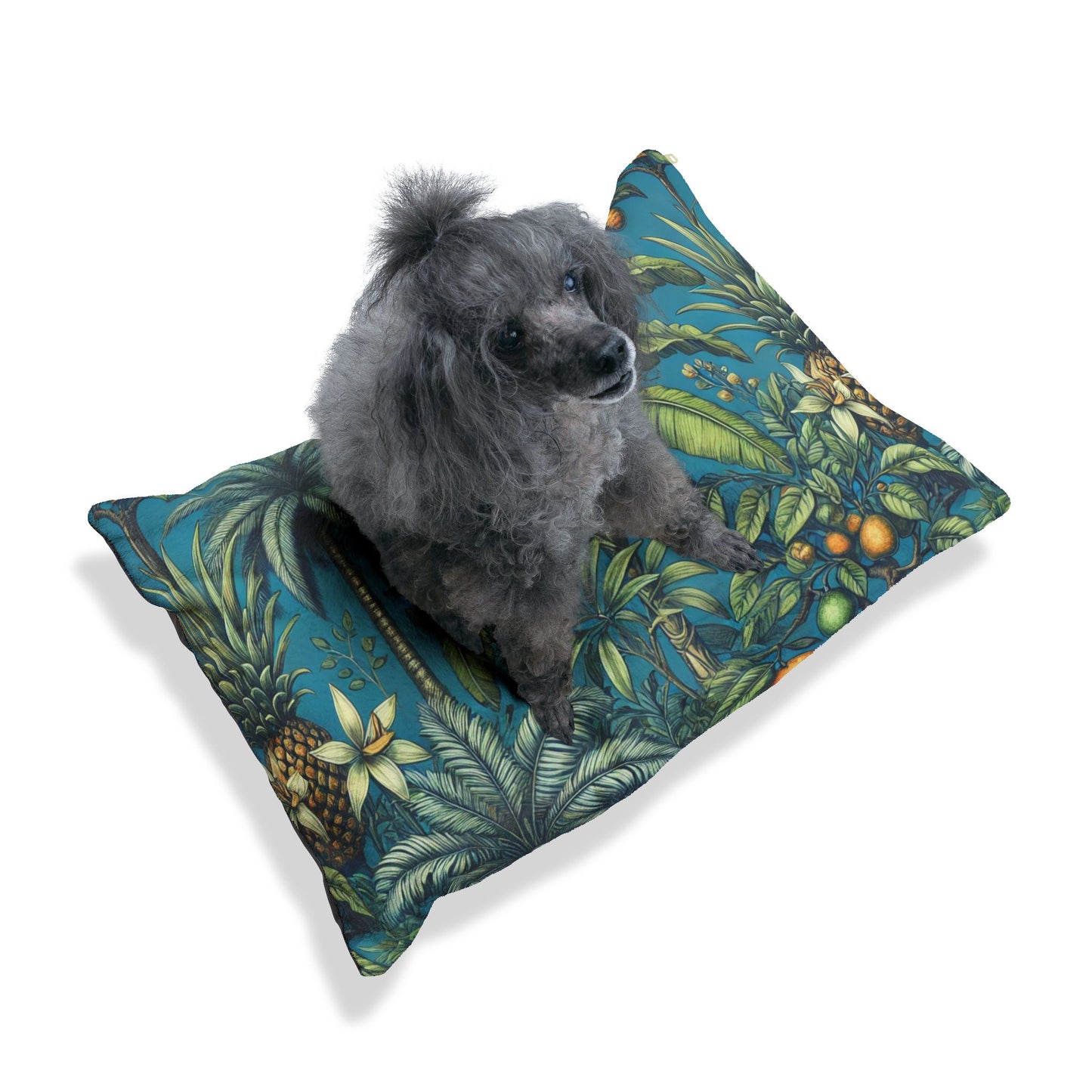 Pet Bed - Cozy and Fun Dog or Cat Bed for Beach Lovers / Tropical Fruit Blue