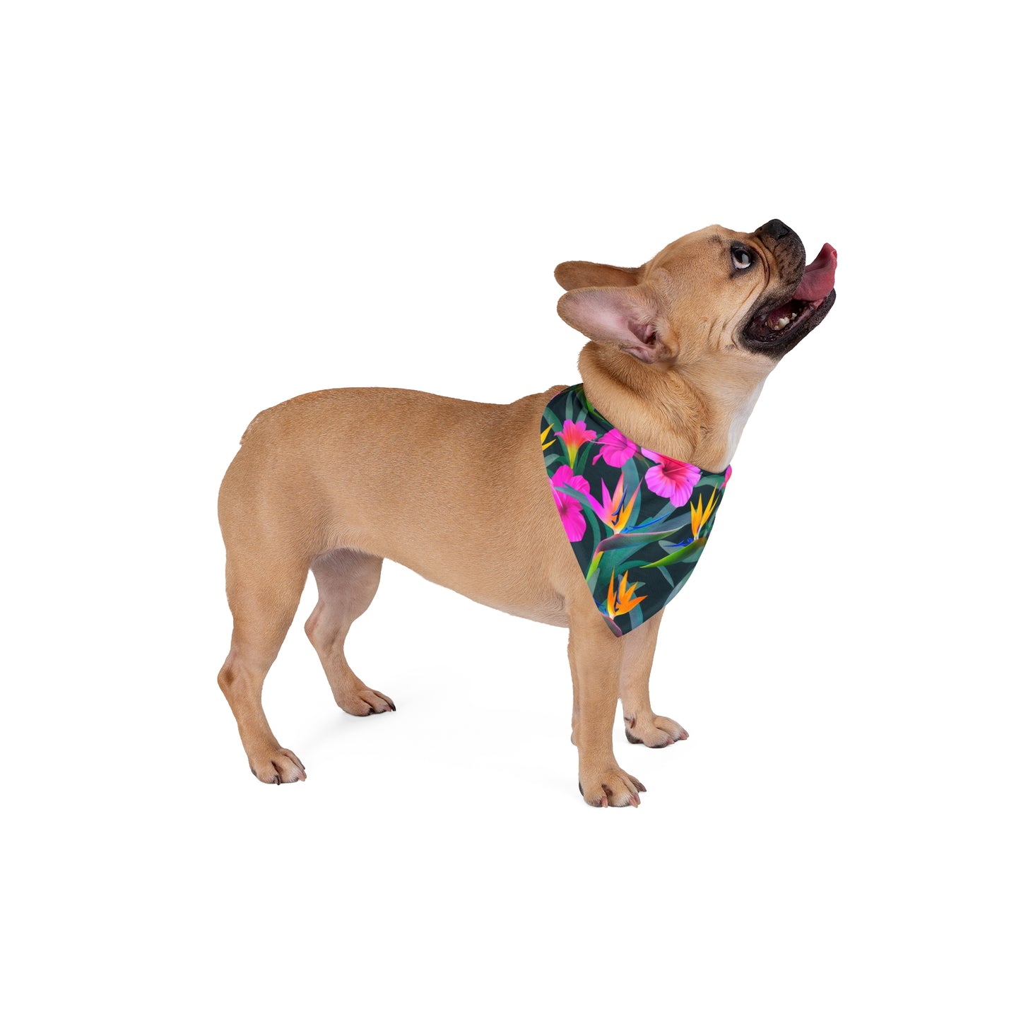 Paradise Flowers Tropical Pet Bandana, 2 Sizes - Stylish accessory for dogs & cats