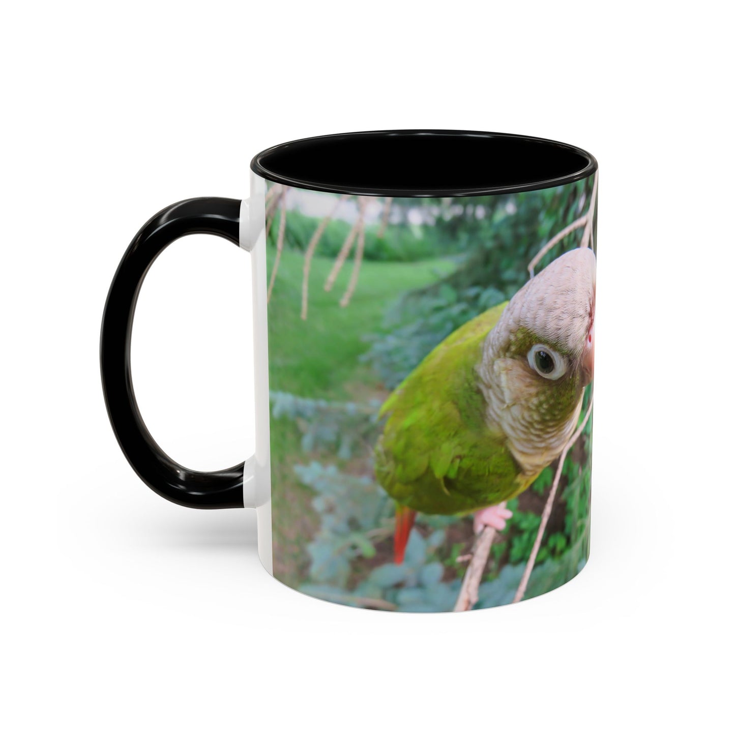 Parrot Accent Coffee Mug (11, 15oz), 8 Colors - You Look Guilty!