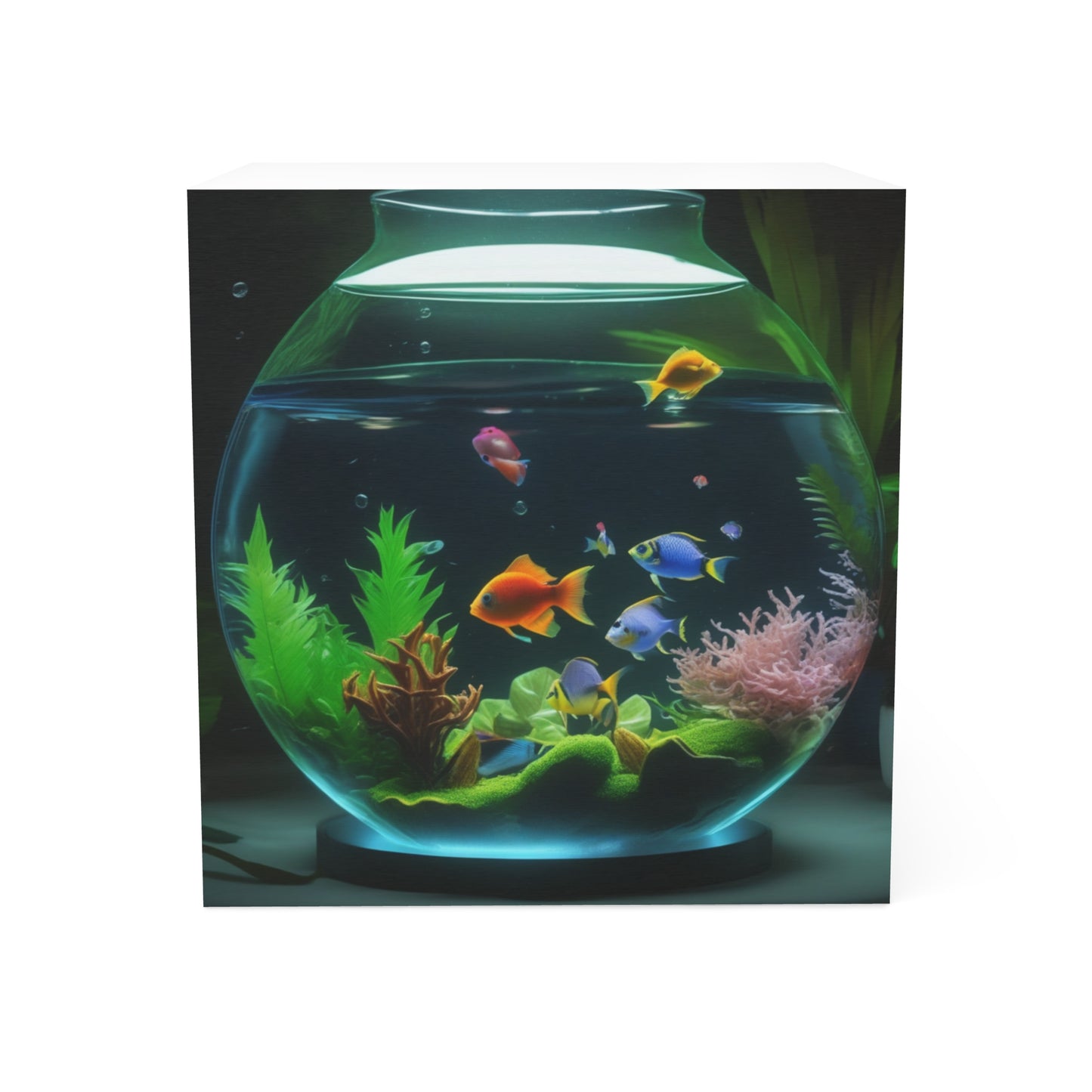 Note Cube - Tropical Fish Bowl #2