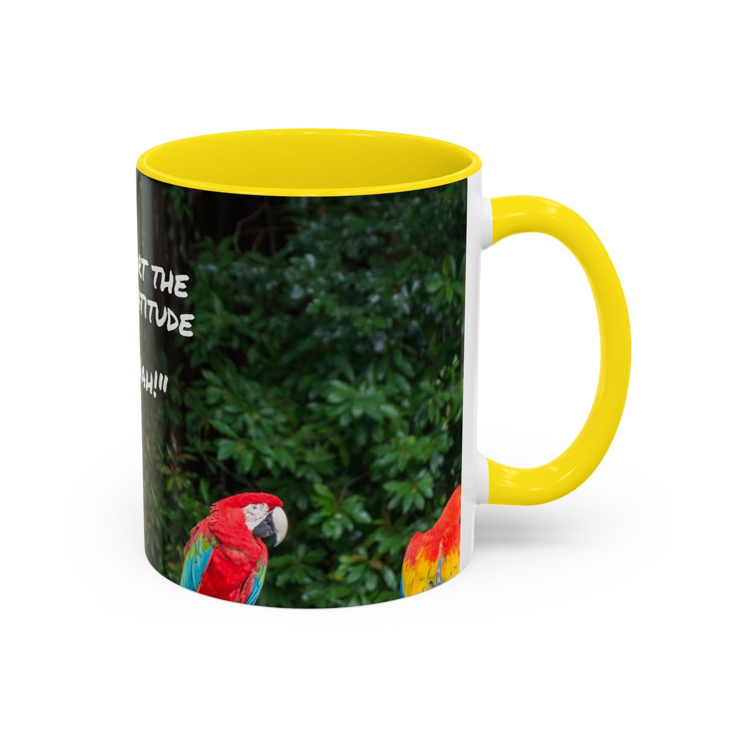 Parrot Accent Coffee Mug (11, 15oz), 8 Colors - No Gratitude