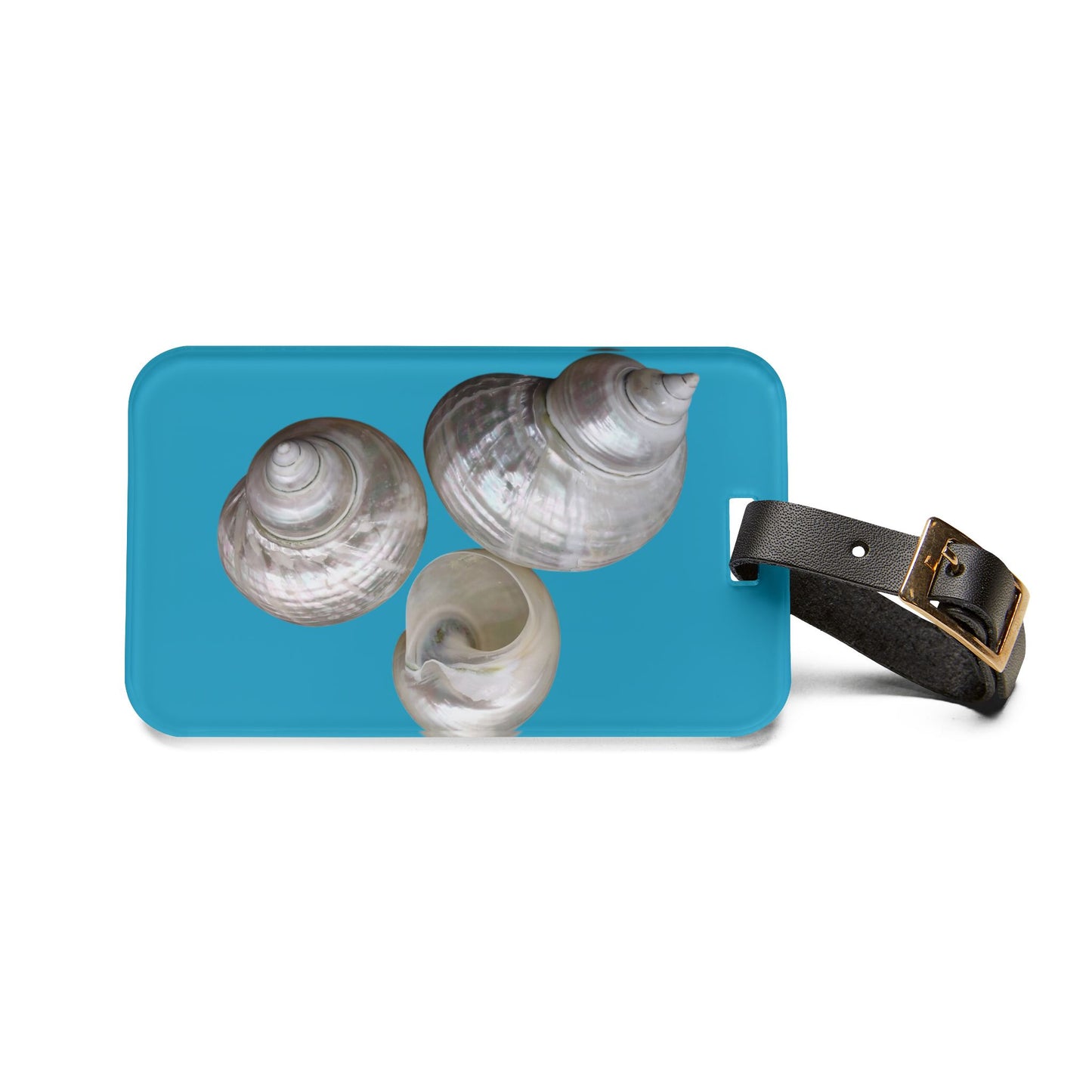 Luggage Tag - White Nautilus Trio, turquoise