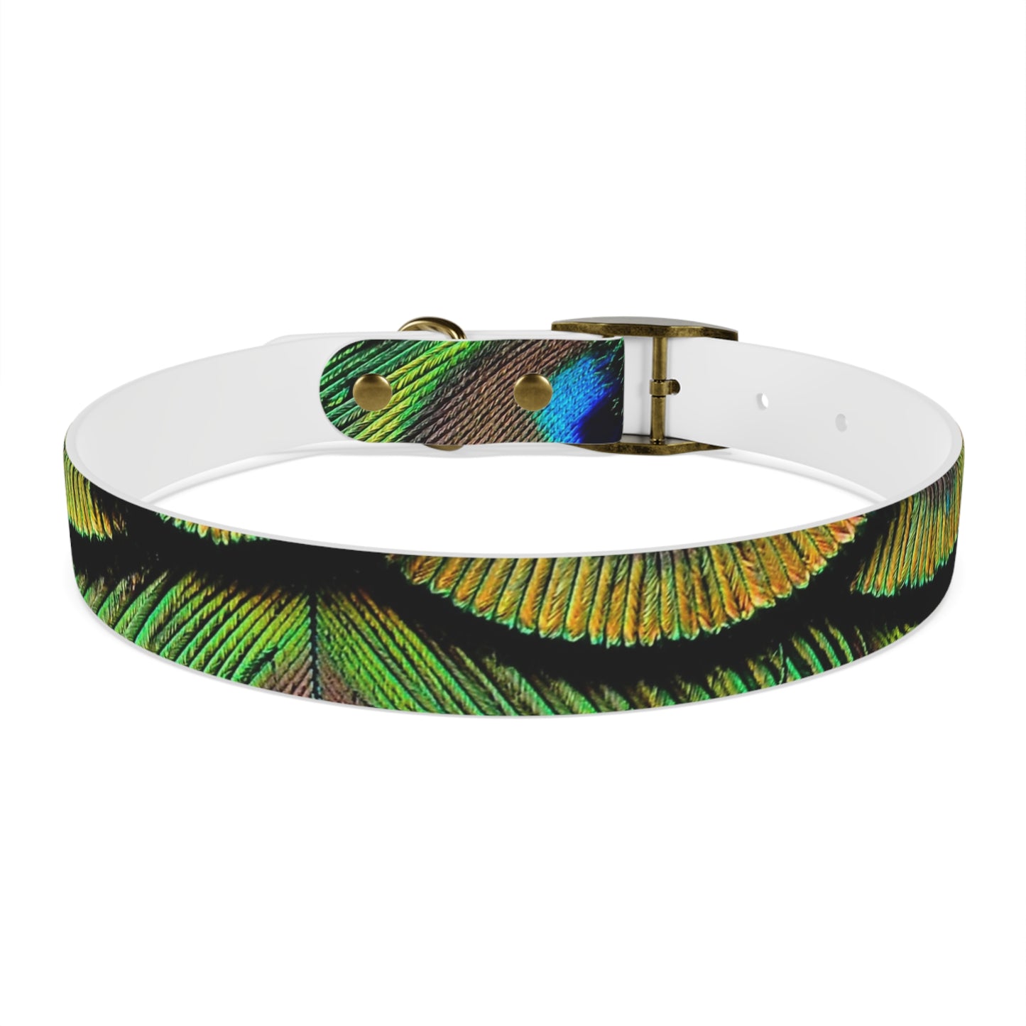 Dog Collar - Brilliant Green Peacock Feathers