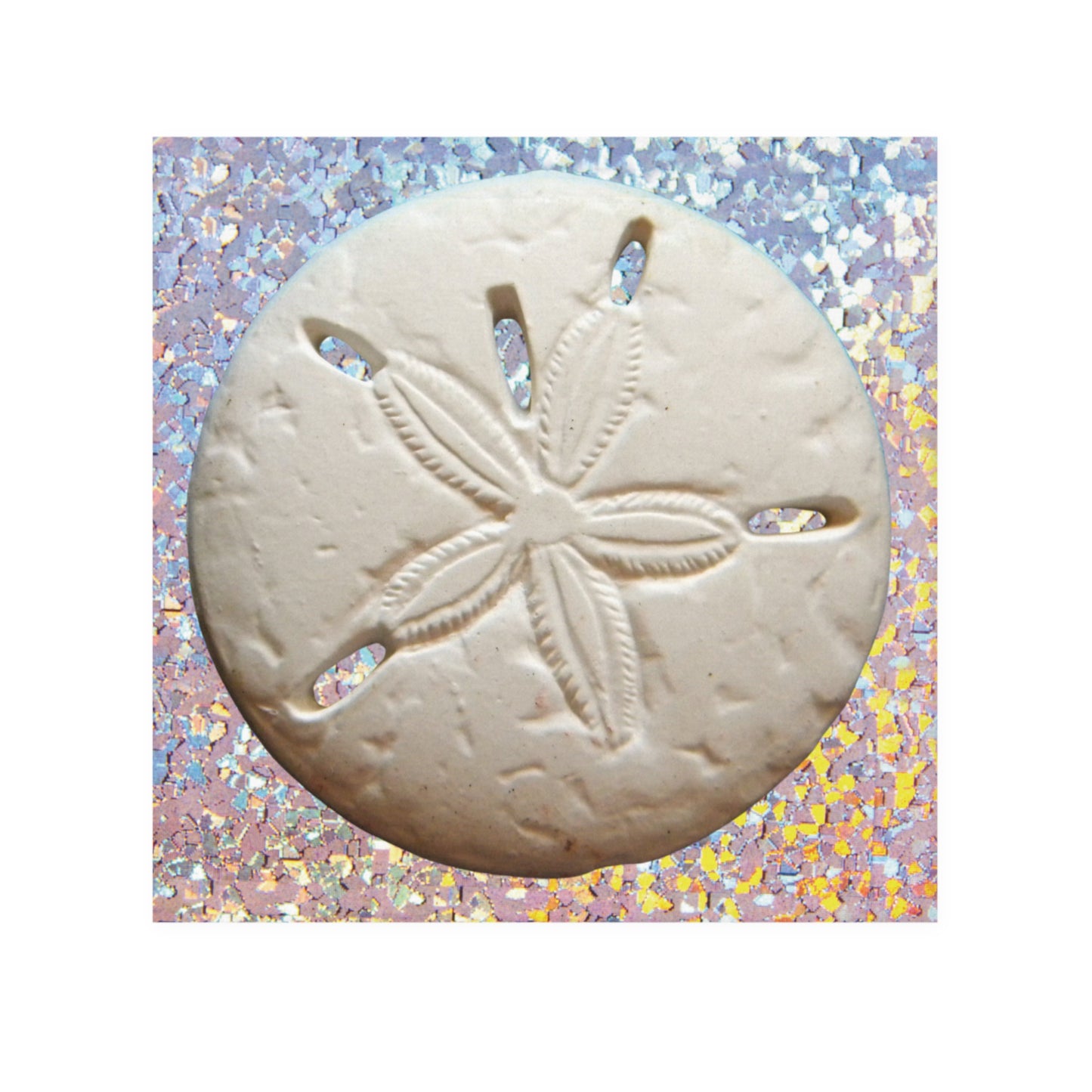 Copy of Face Towel - Disco White Sand Dollar