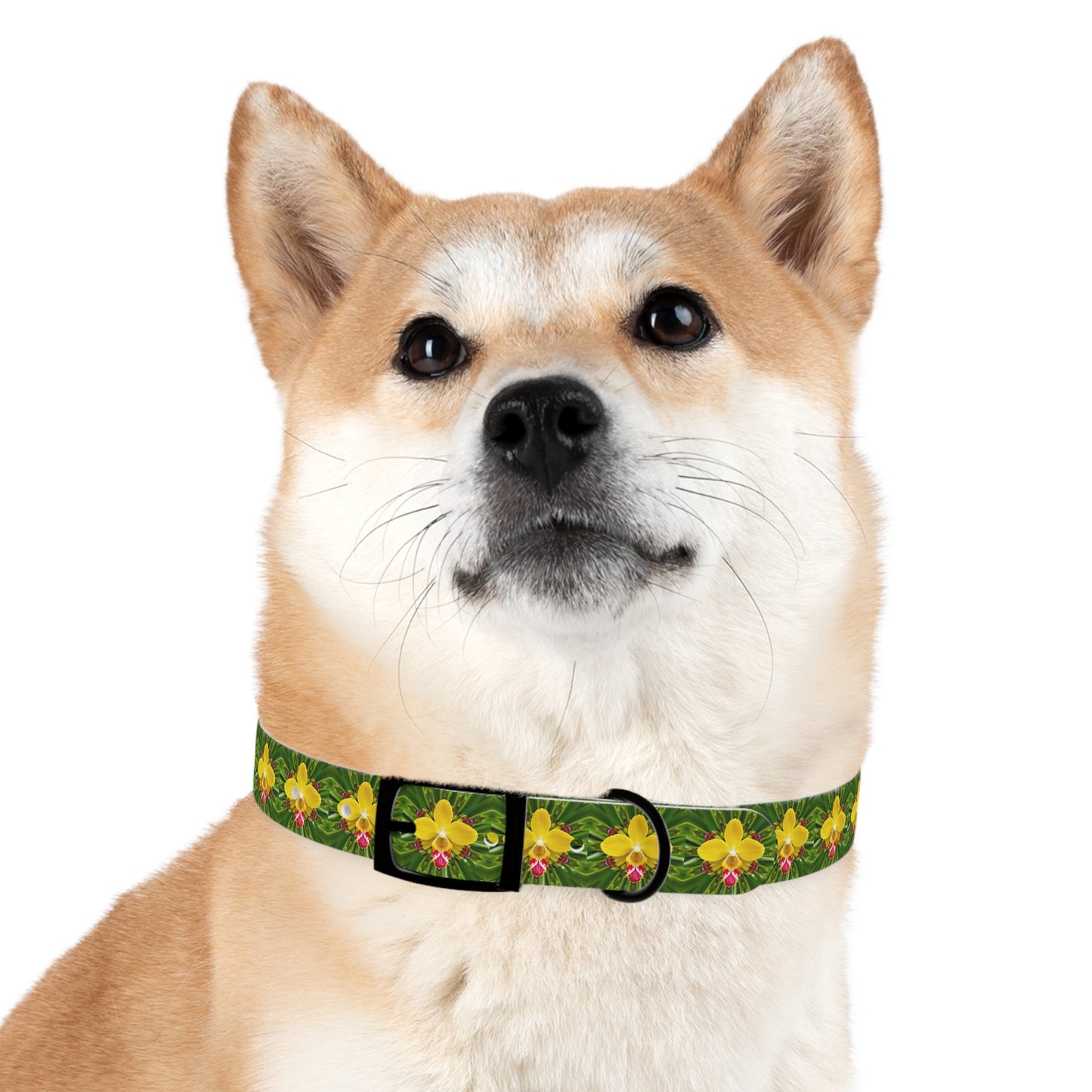 Dog Collar - Yellow Orchid Kaleidoscope