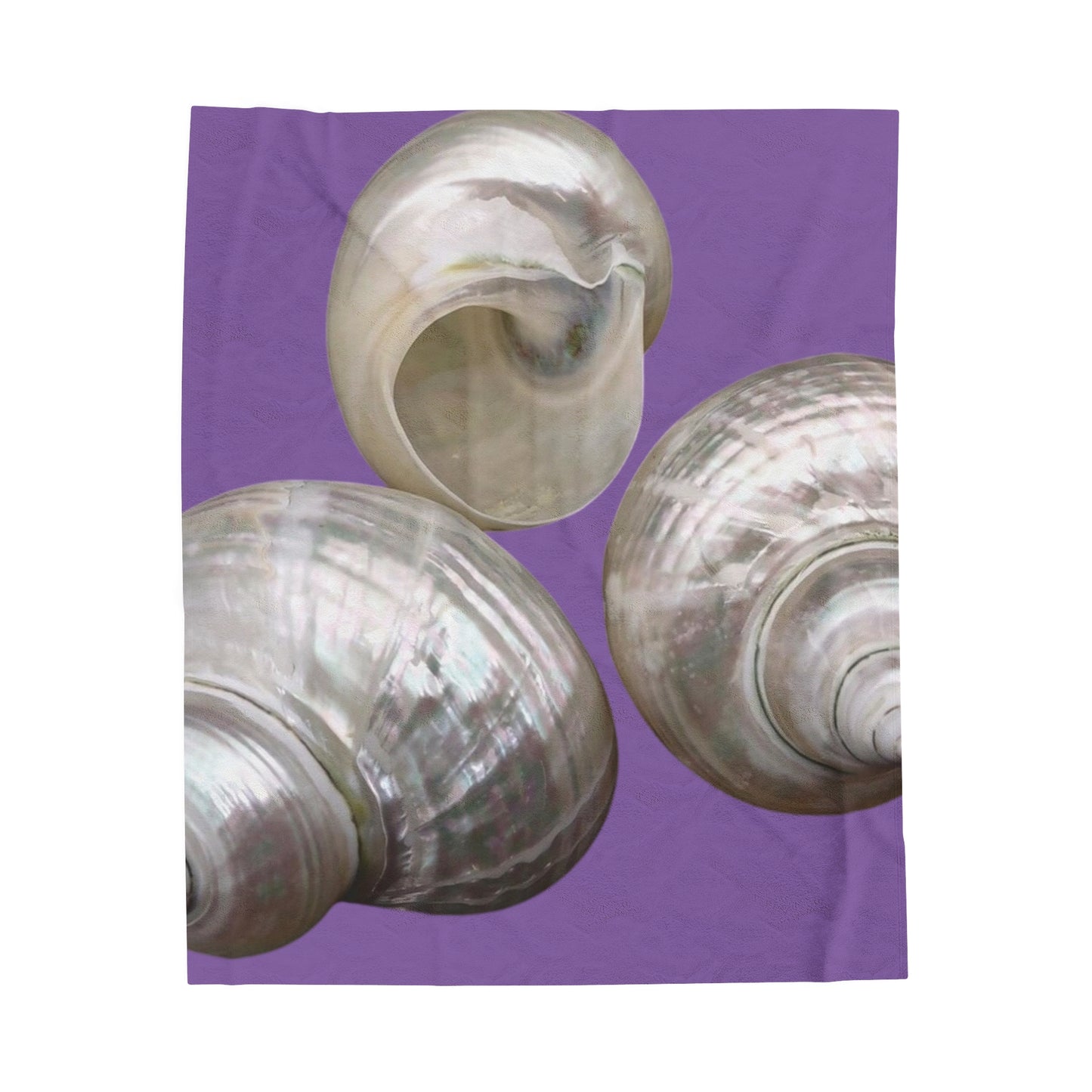 Tropical WOW White Nautilus Trio/Lt. Purple Velveteen Plush Blanket - Cozy Home Decor for Coastal Lovers