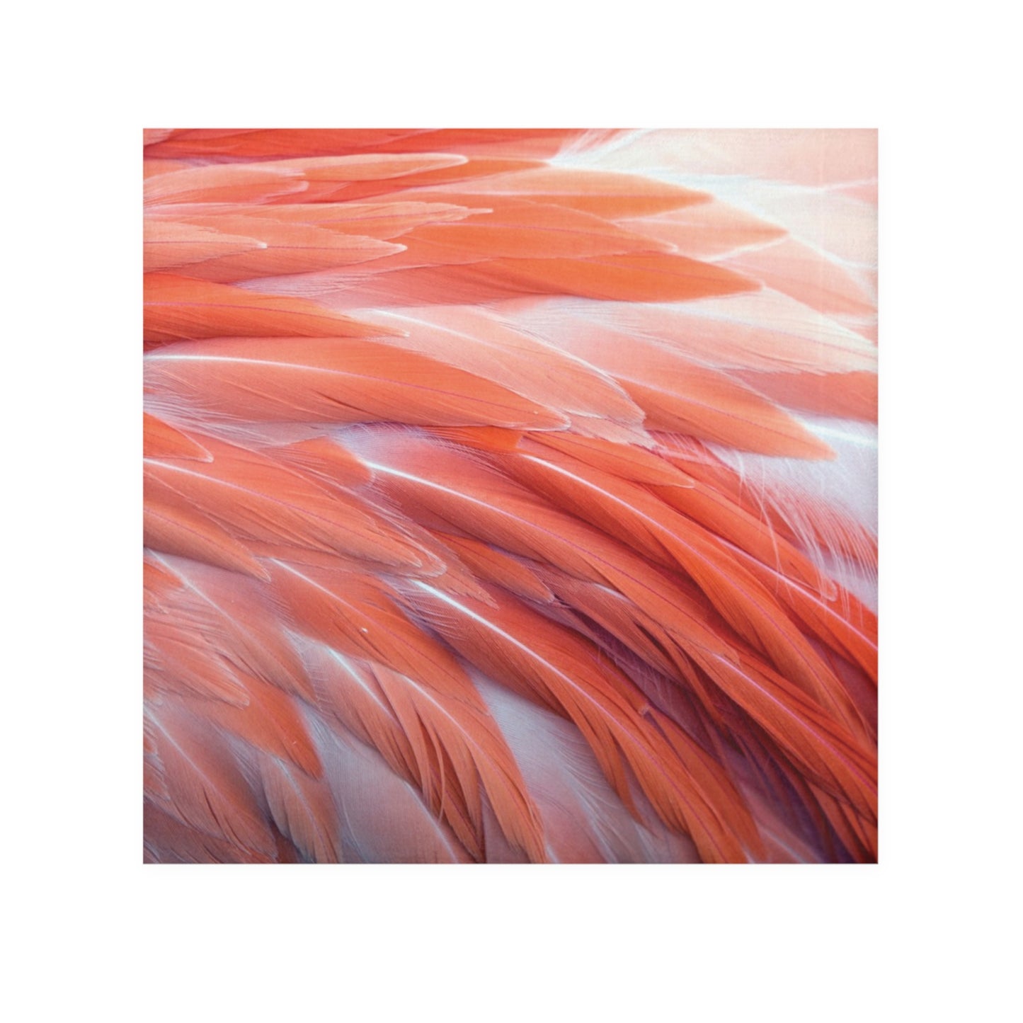 Face Towel - Real Flamingo Feathers