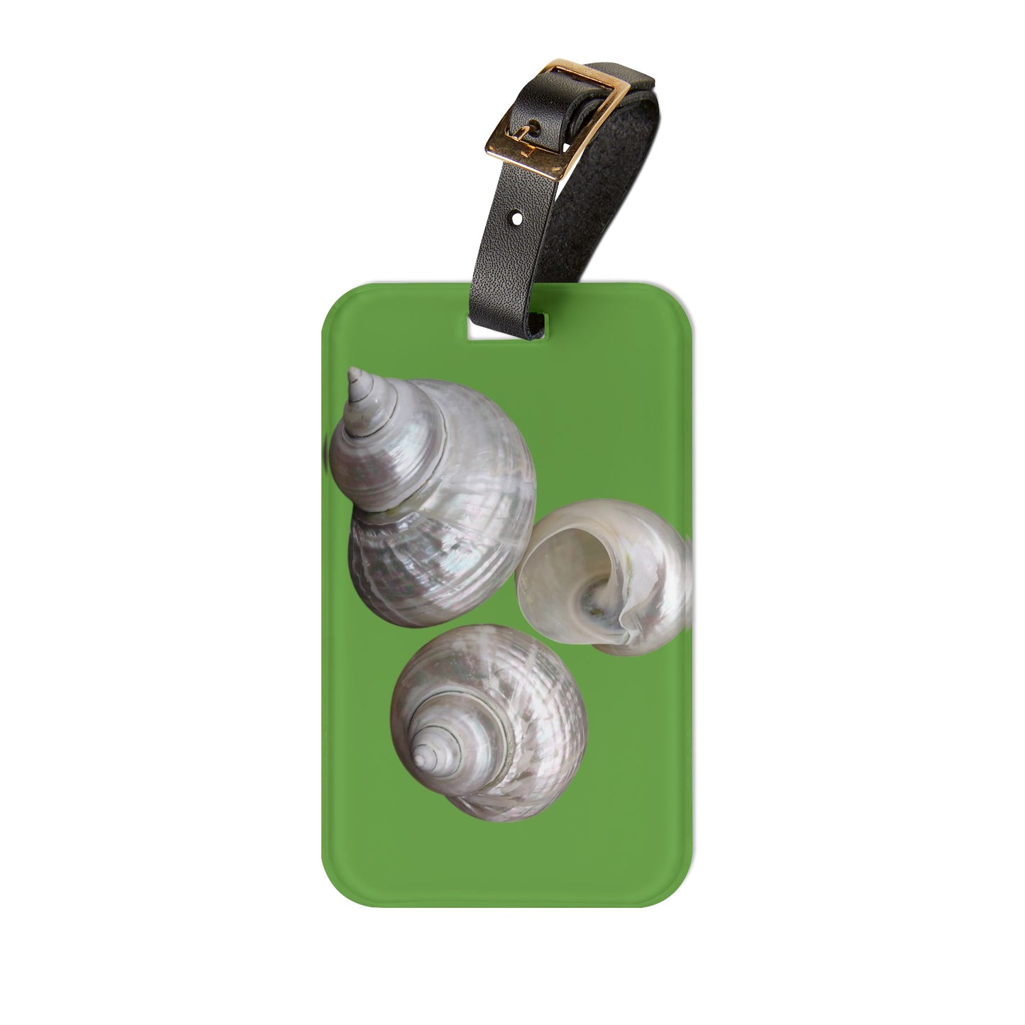 Luggage Tag - White Nautilus Trio, green