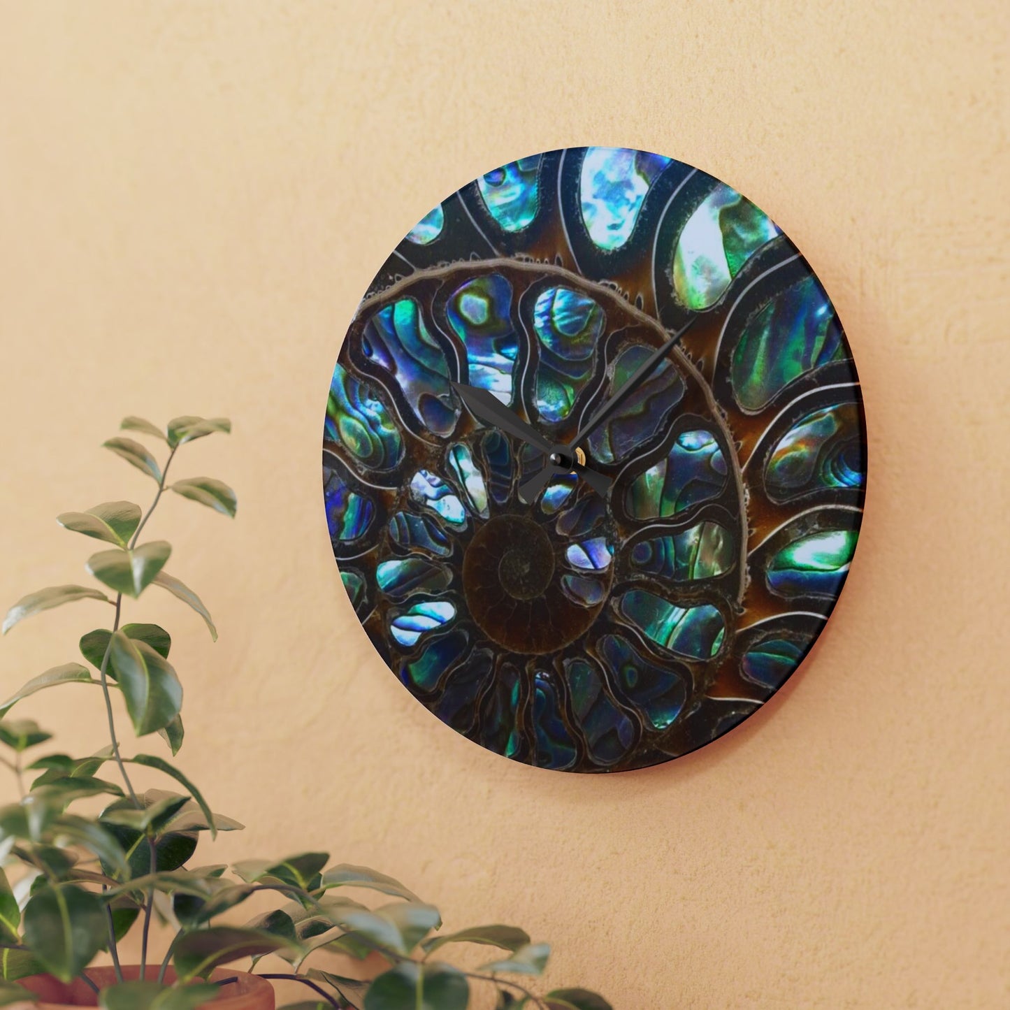 Acrylic Wall Clock, Ammonite & Abalone, 4 Variants