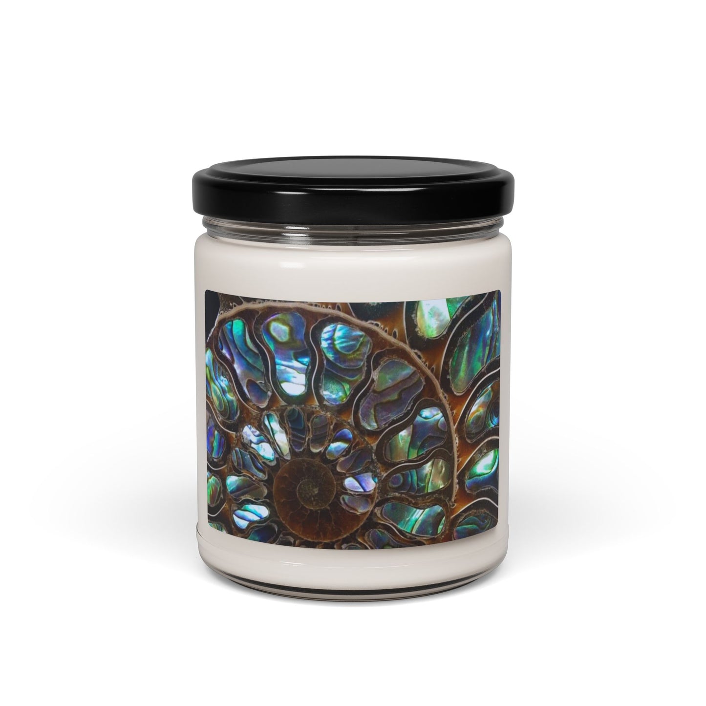 Scented Soy Candle, 9oz, Ammonite and Abalone