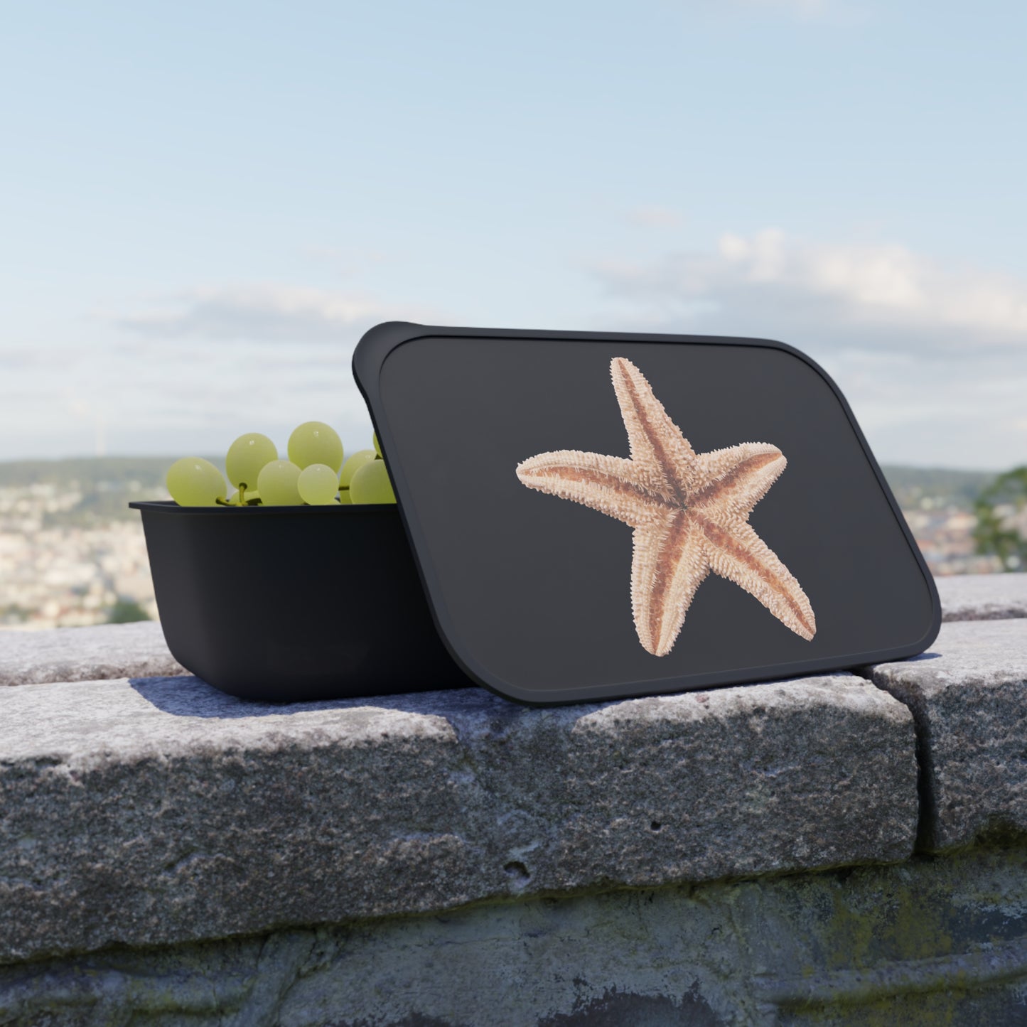 Bento Box with Utensils - Real Starfish