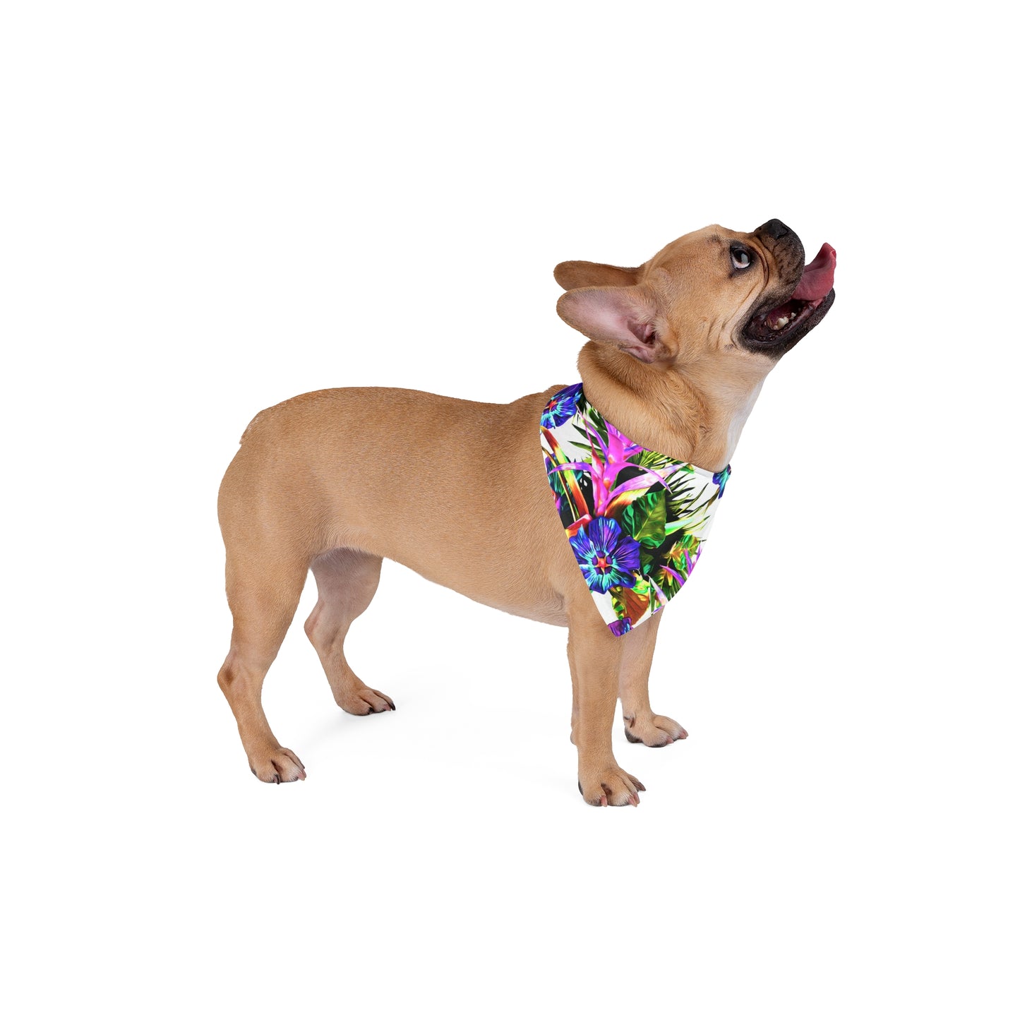 White Plant Palooza Tropical Pet Bandana, 2 Sizes - Stylish accessory for dogs & cats