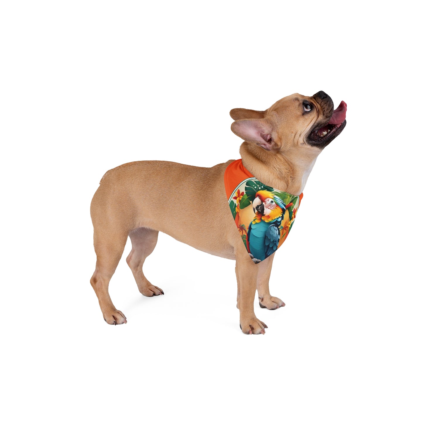 Orange Parrot Friend Tropical Pet Bandana, 2 Sizes - Stylish accessory for dogs & cats