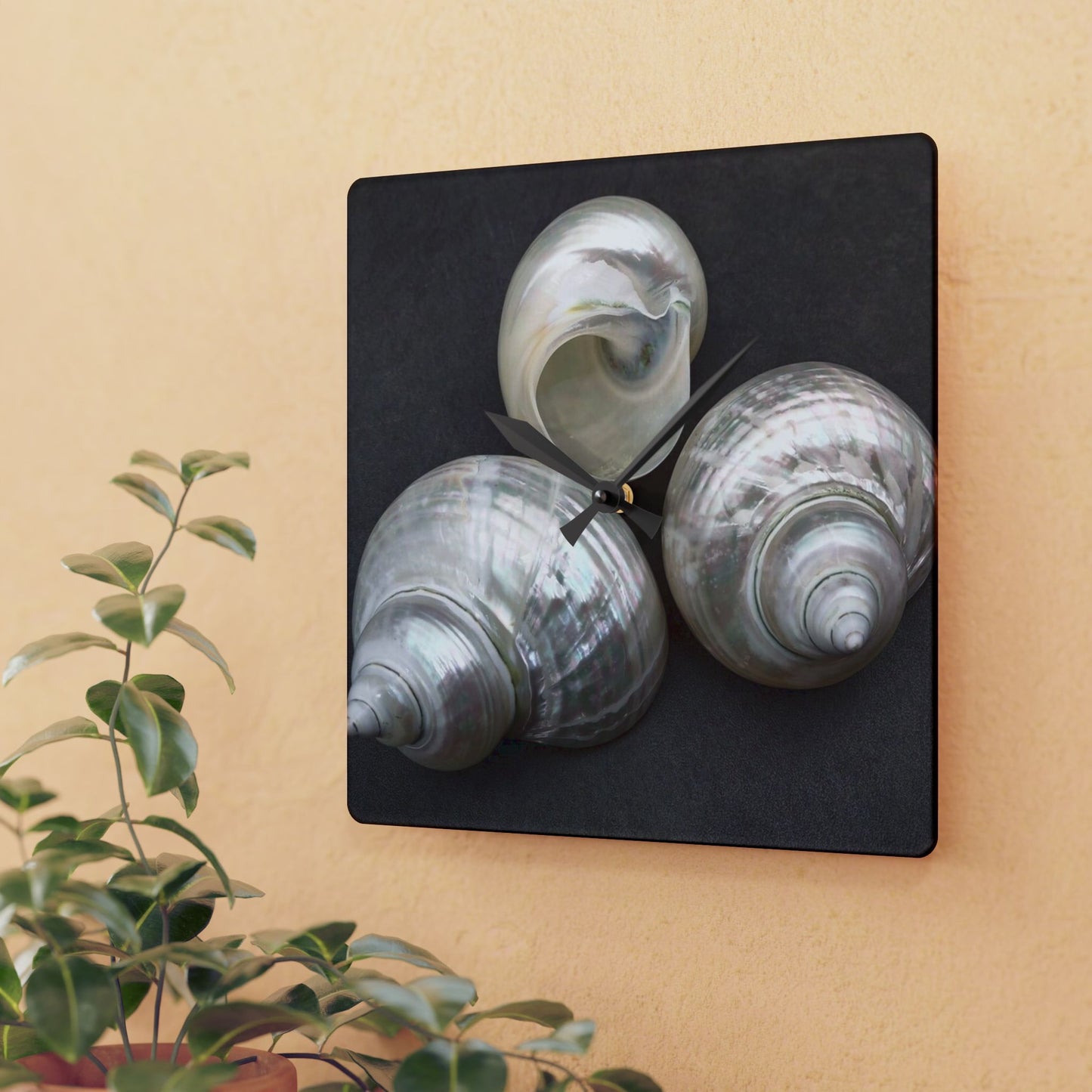 Acrylic Wall Clock, White Nautilus Trio, Variants