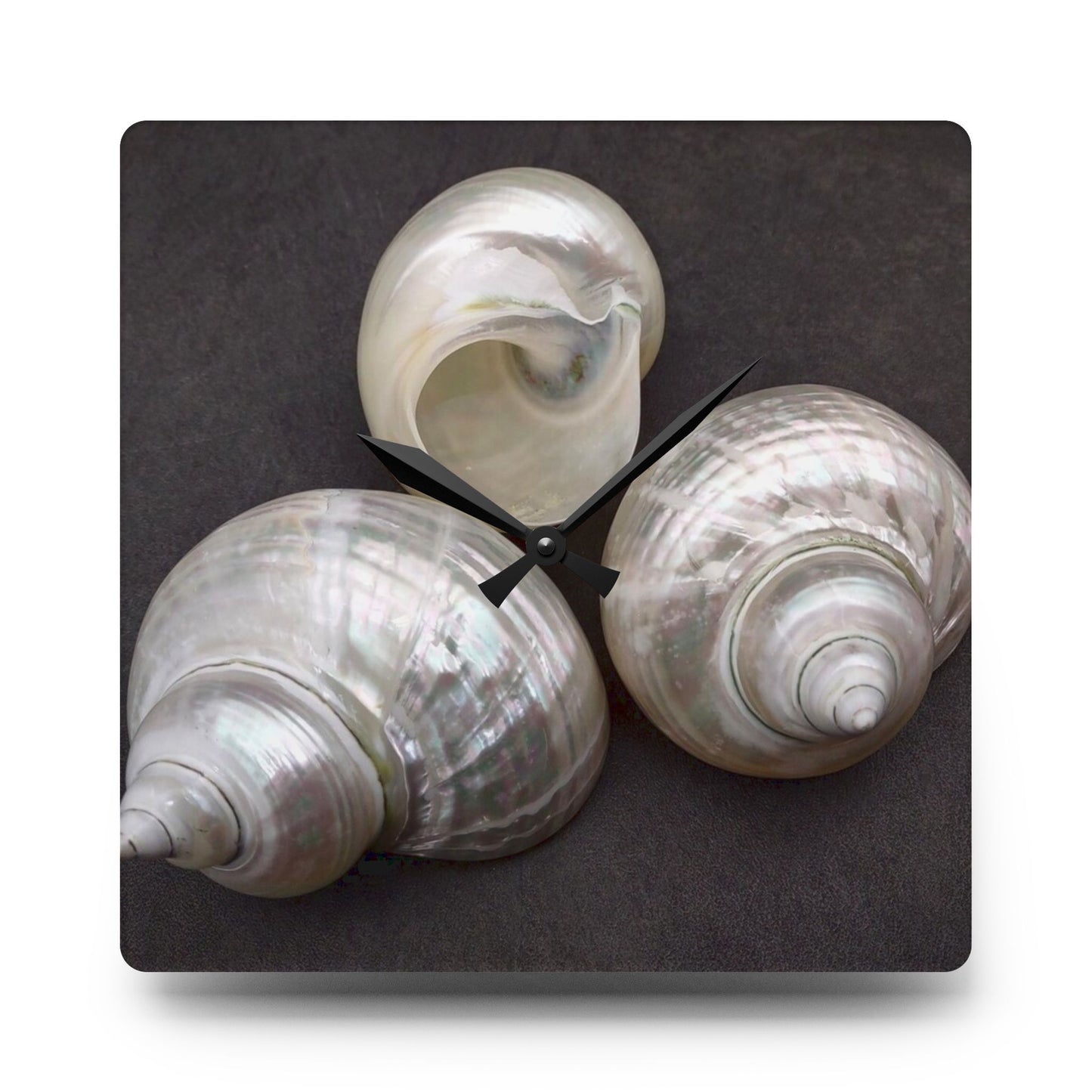 Acrylic Wall Clock, White Nautilus Trio, Variants