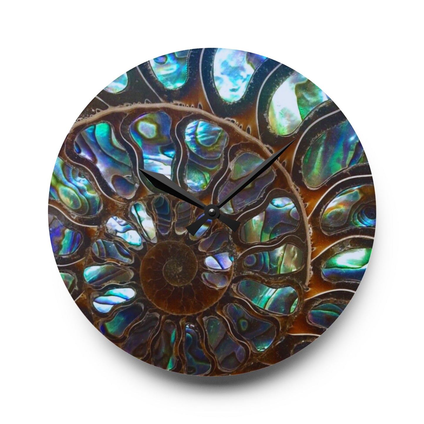 Acrylic Wall Clock, Ammonite & Abalone, 4 Variants