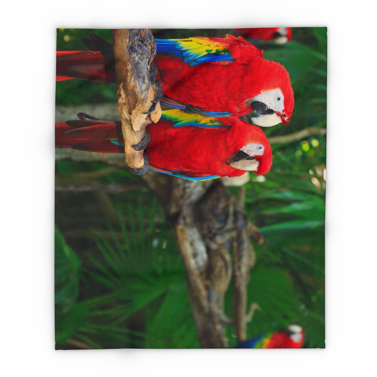 Gossip Parrots in Rainforest Fleece Blanket - Colorful Tropical Design