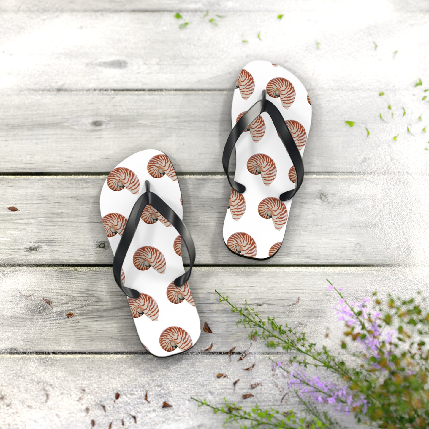 Flip Flops - Tiger Stripe Nautilus Shell