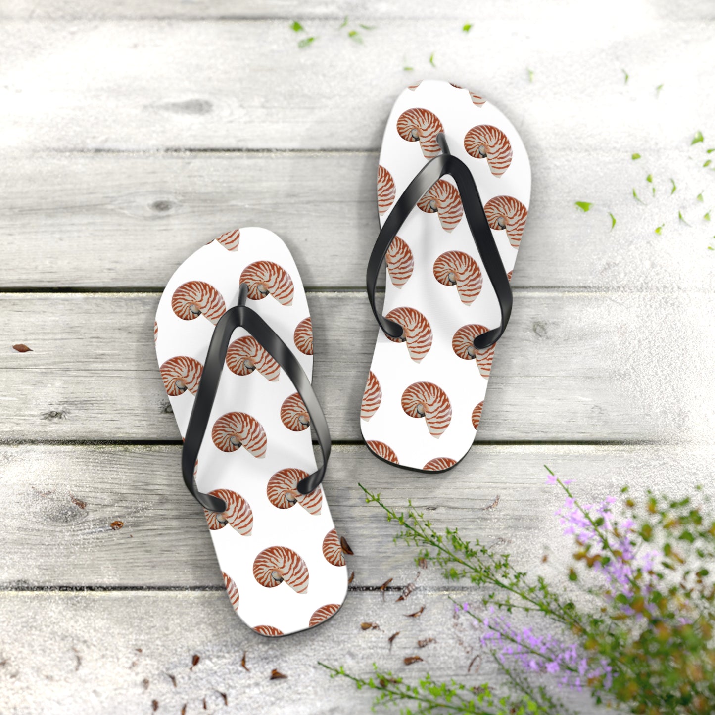 Flip Flops - Tiger Stripe Nautilus Shell