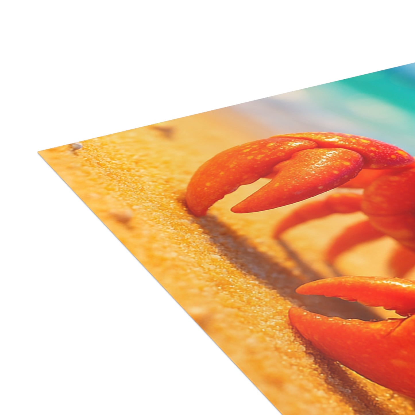 Baby Hermit Crab Postcard Bundle - Perfect for Ocean Lovers & Greetings!