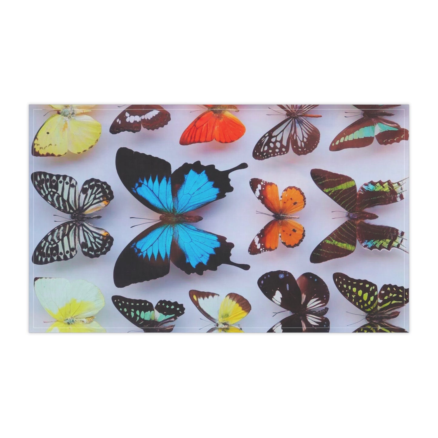 Tea Towels (cotton, poly), Butterfly Collection #1 Macro