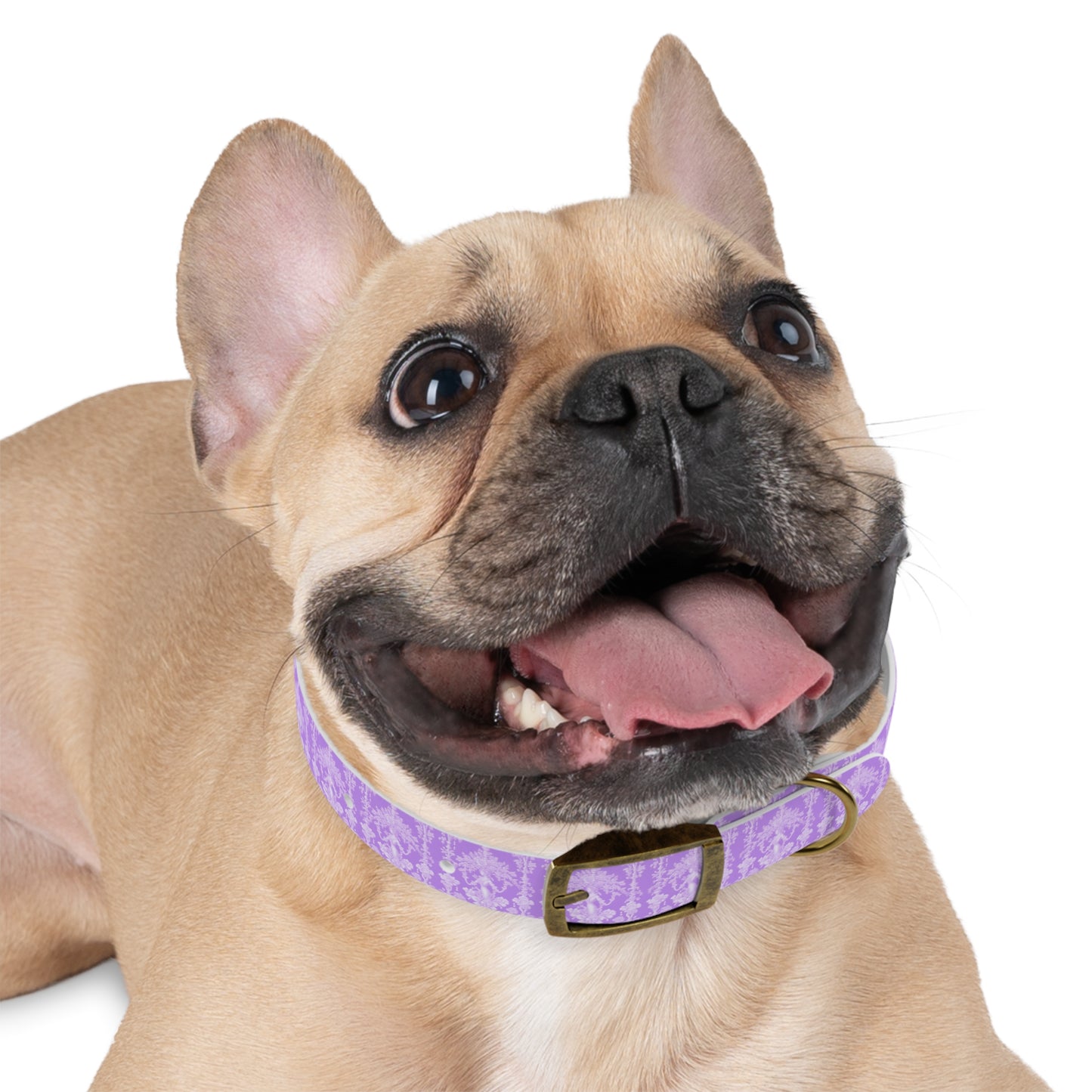 Dog Collar - Pearl Lady Toile, purple